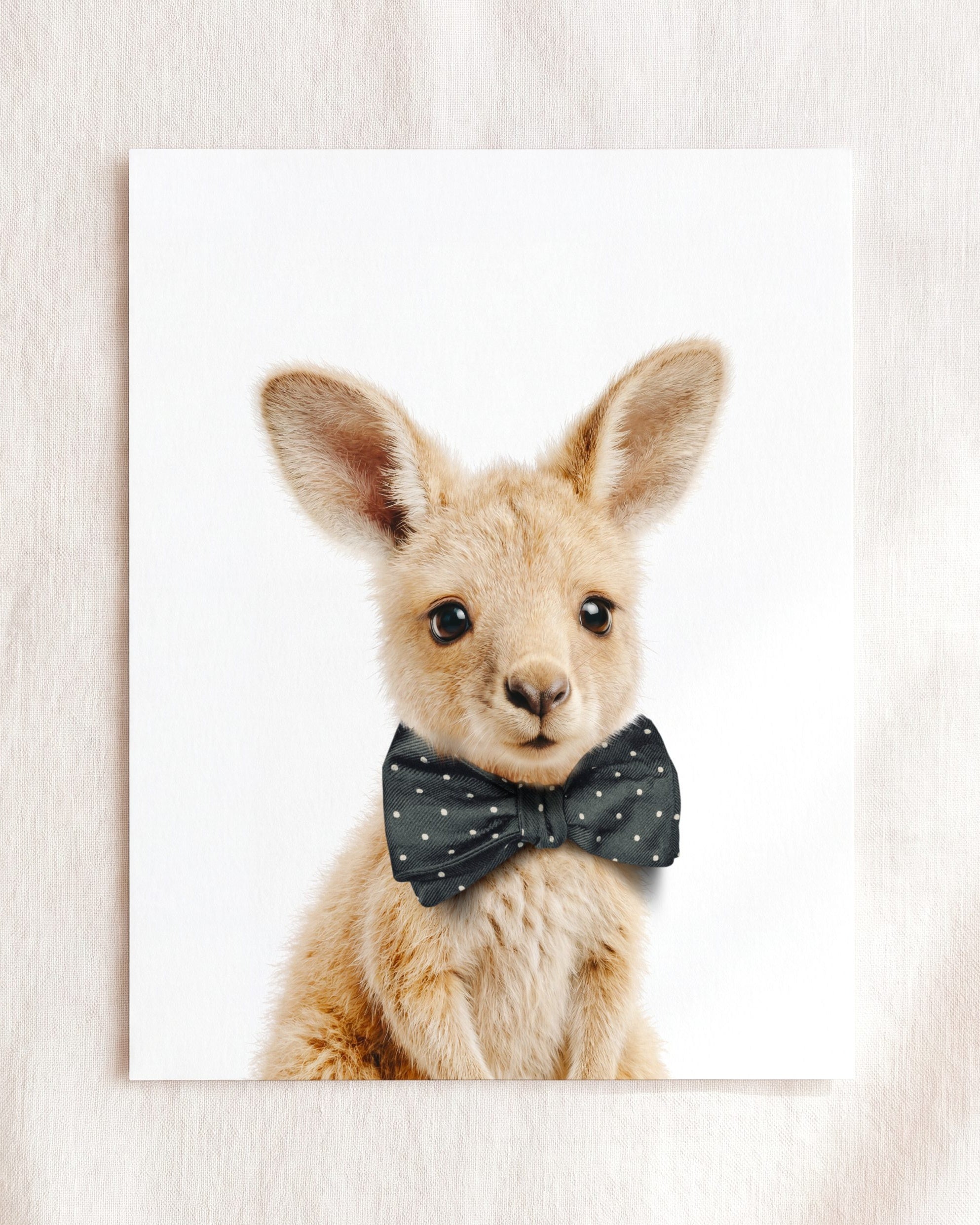 Baby Kangaroo