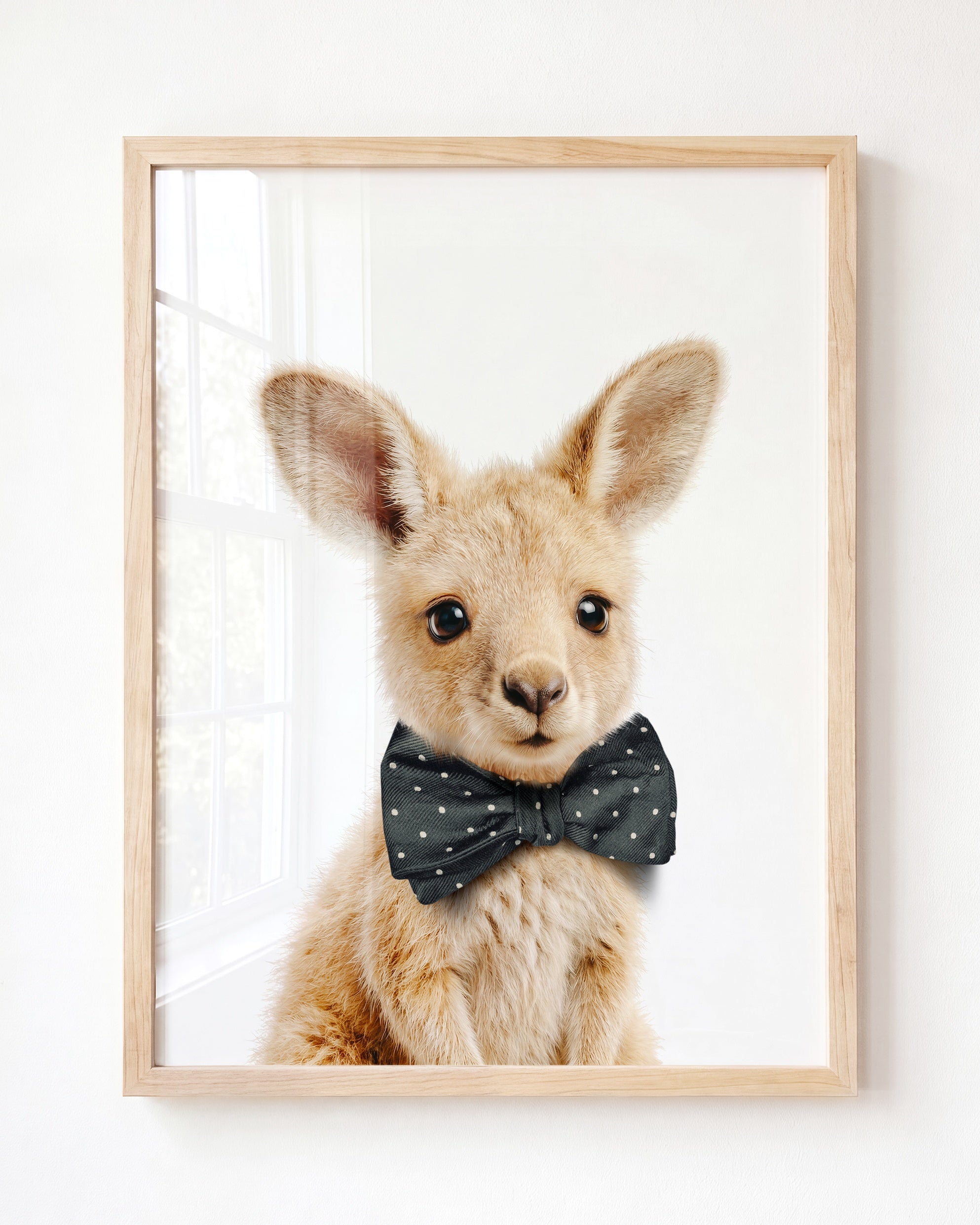 Baby Kangaroo