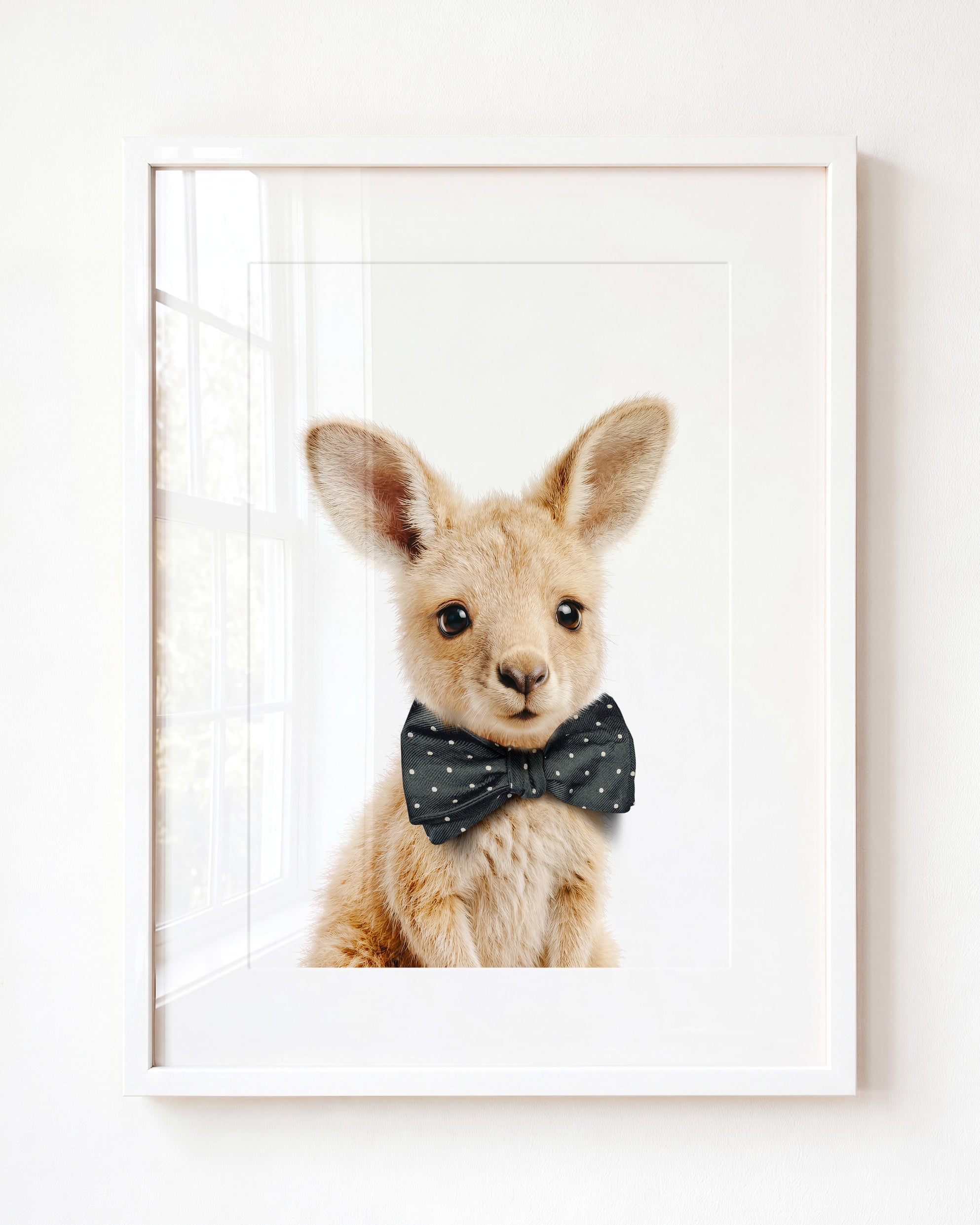 Baby Kangaroo