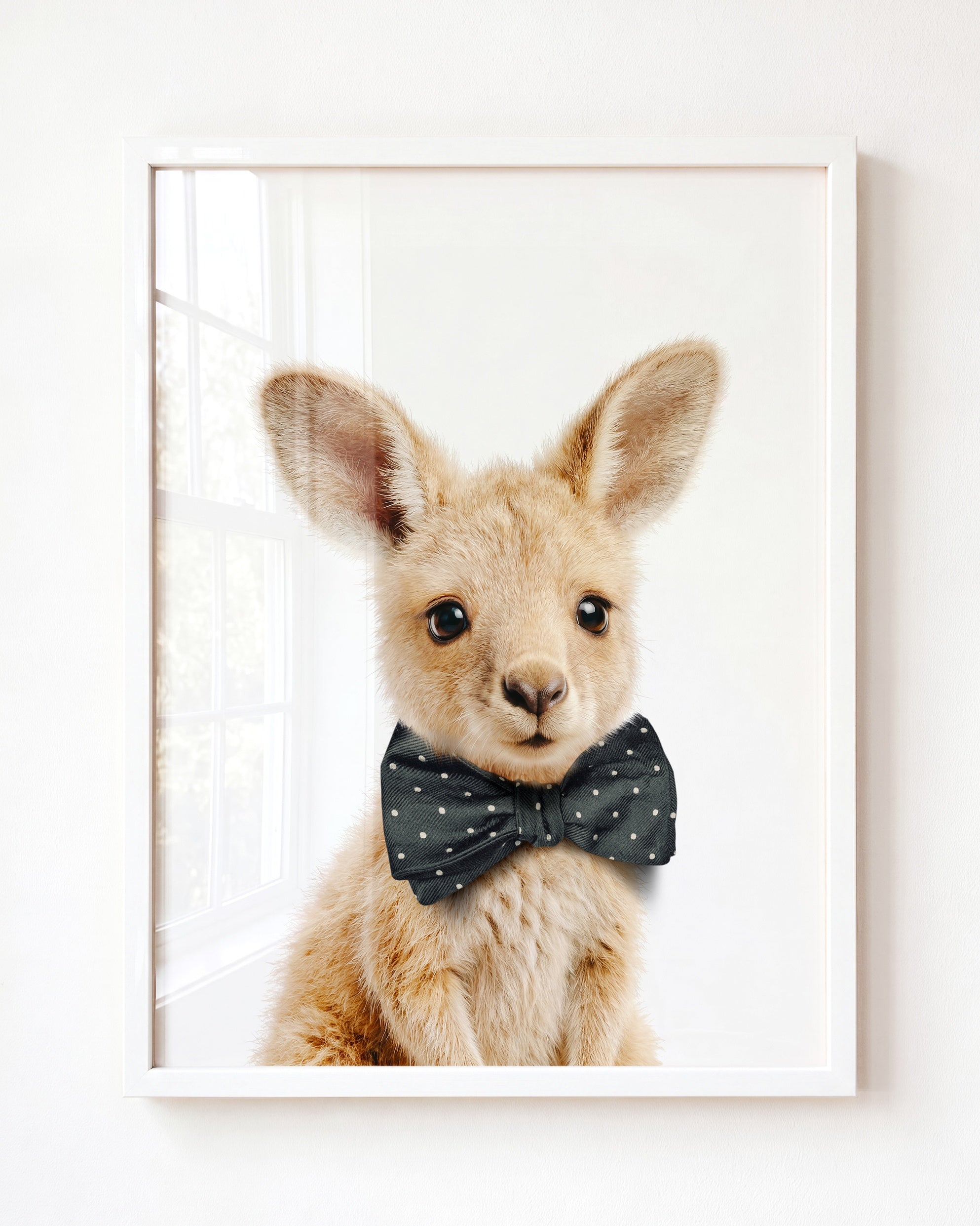 Baby Kangaroo