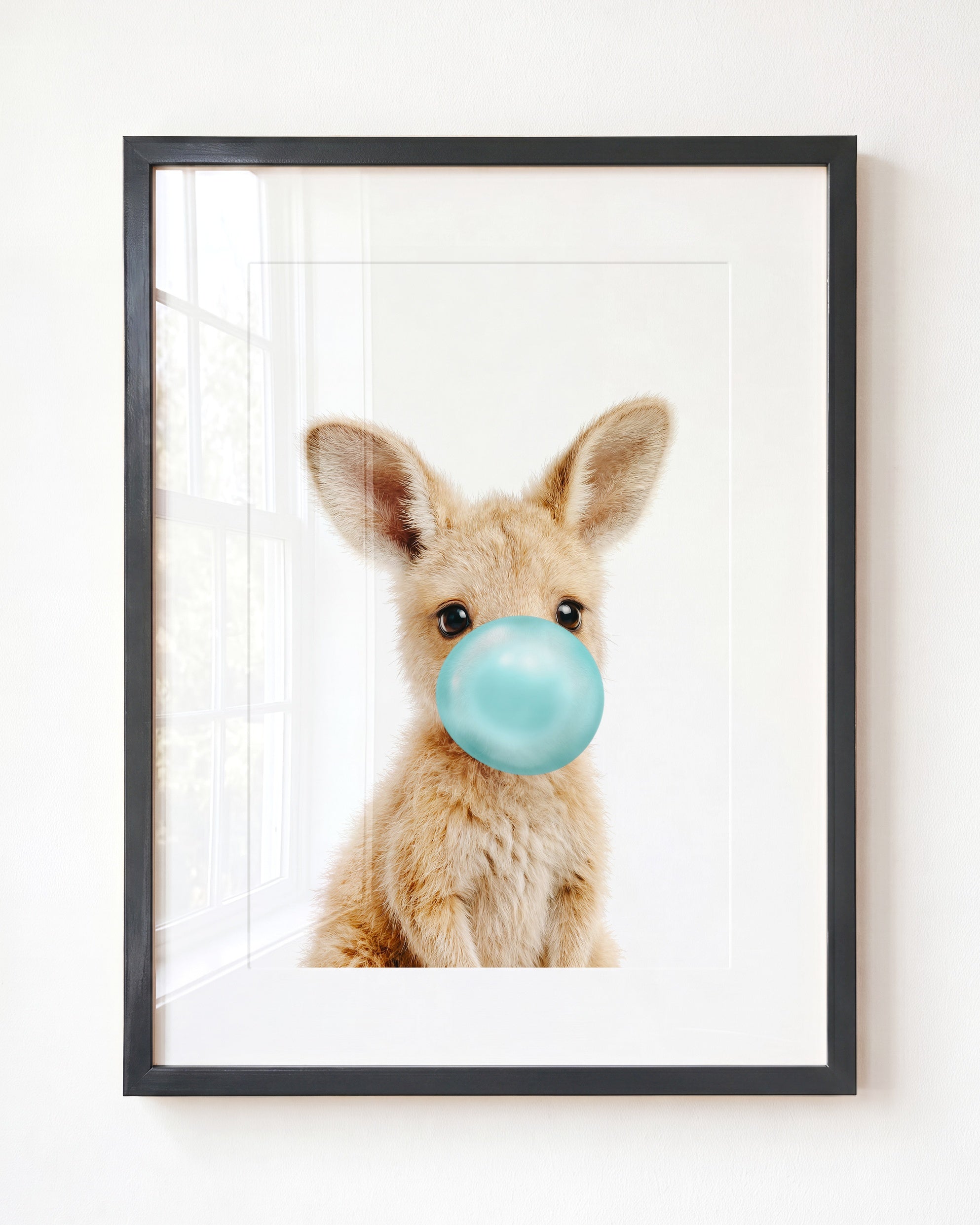 Baby Kangaroo