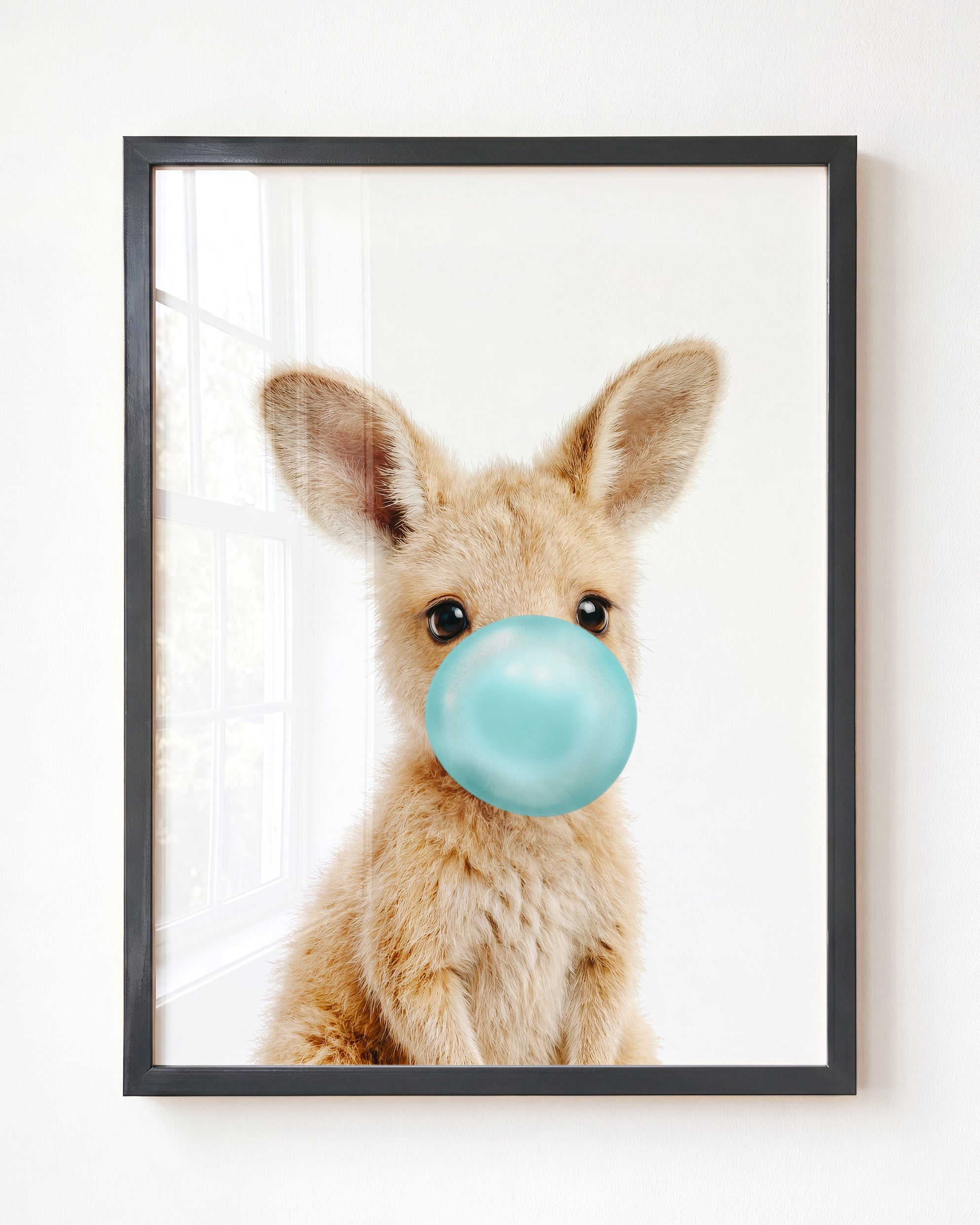 Baby Kangaroo
