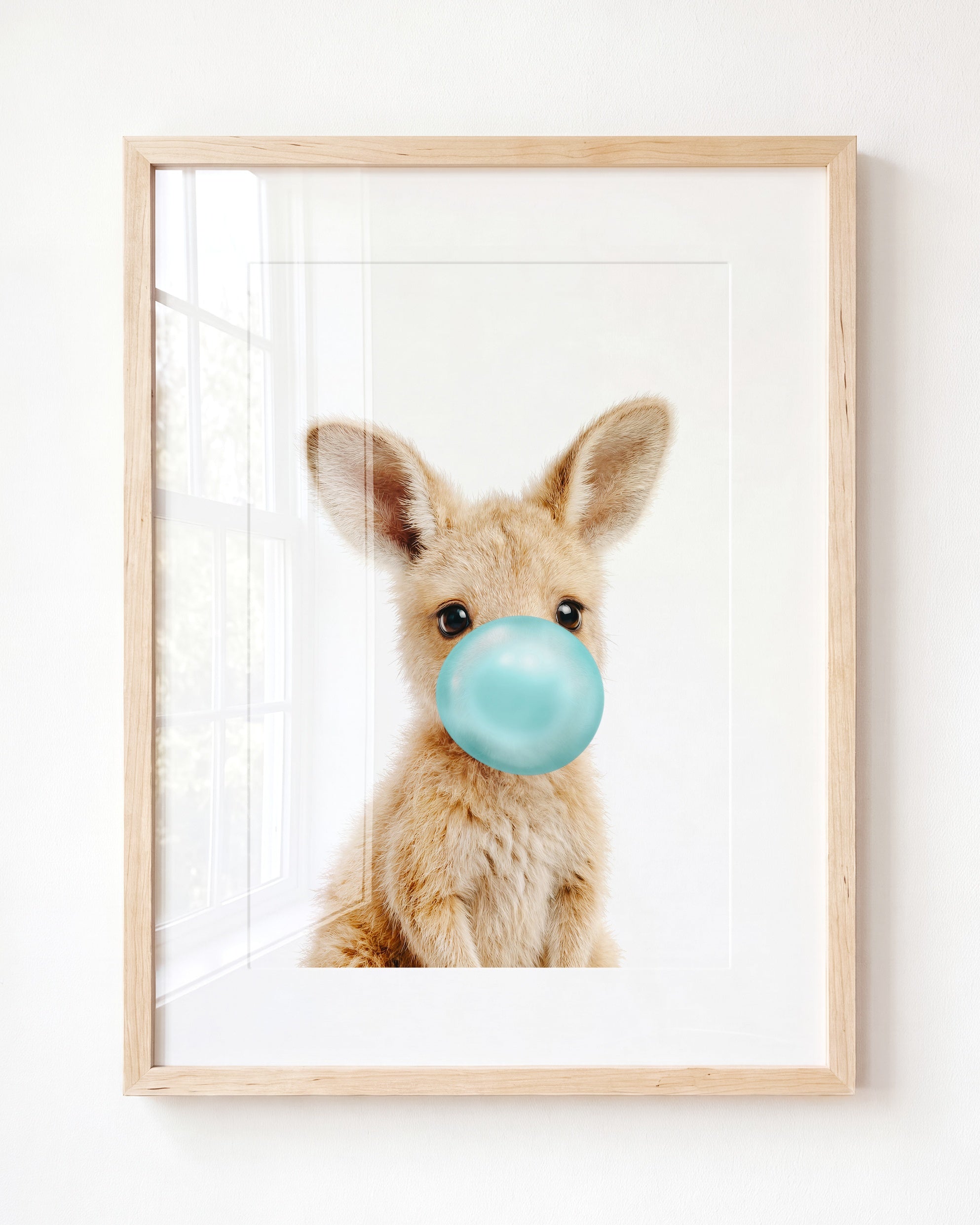 Baby Kangaroo
