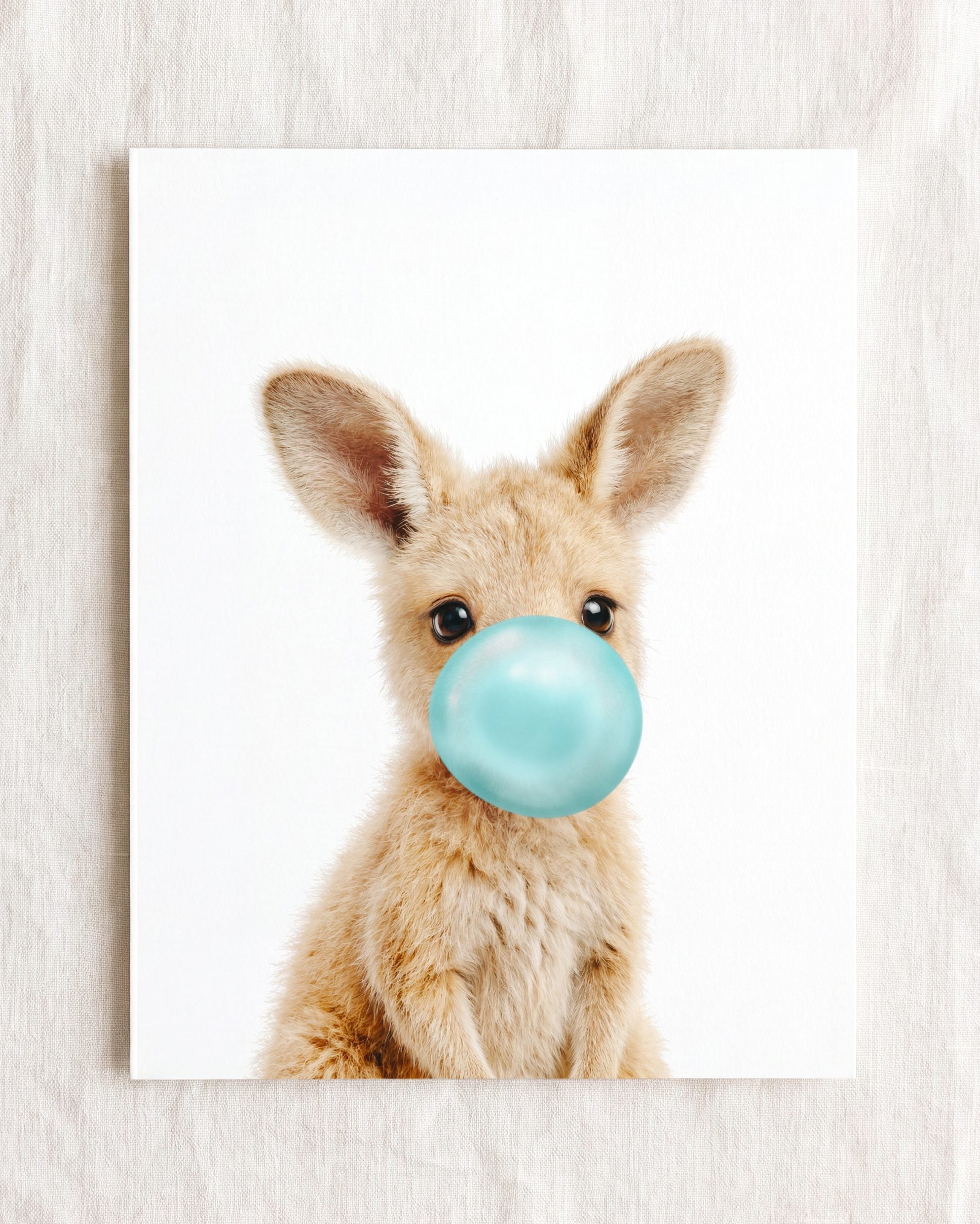 Baby Kangaroo
