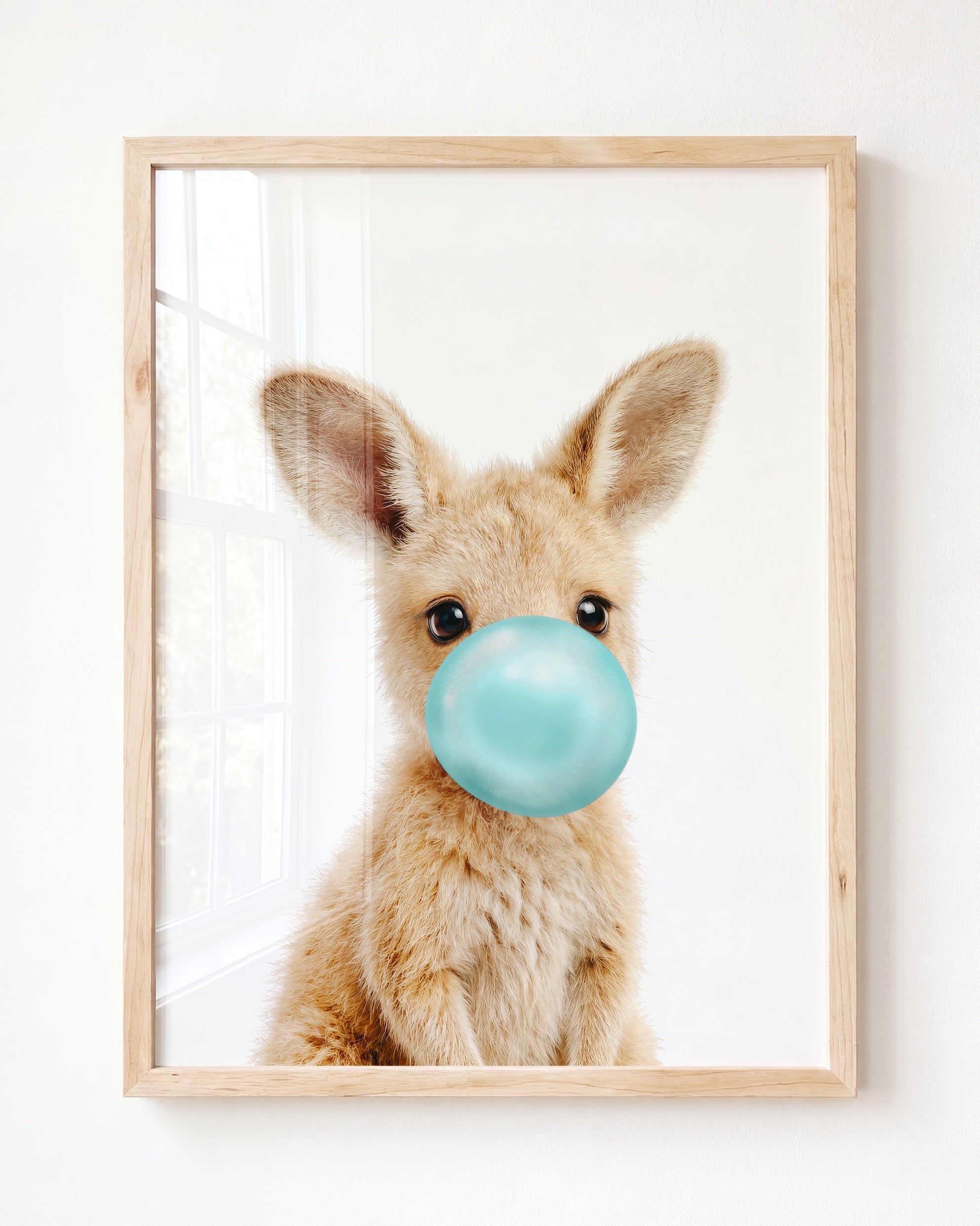 Baby Kangaroo