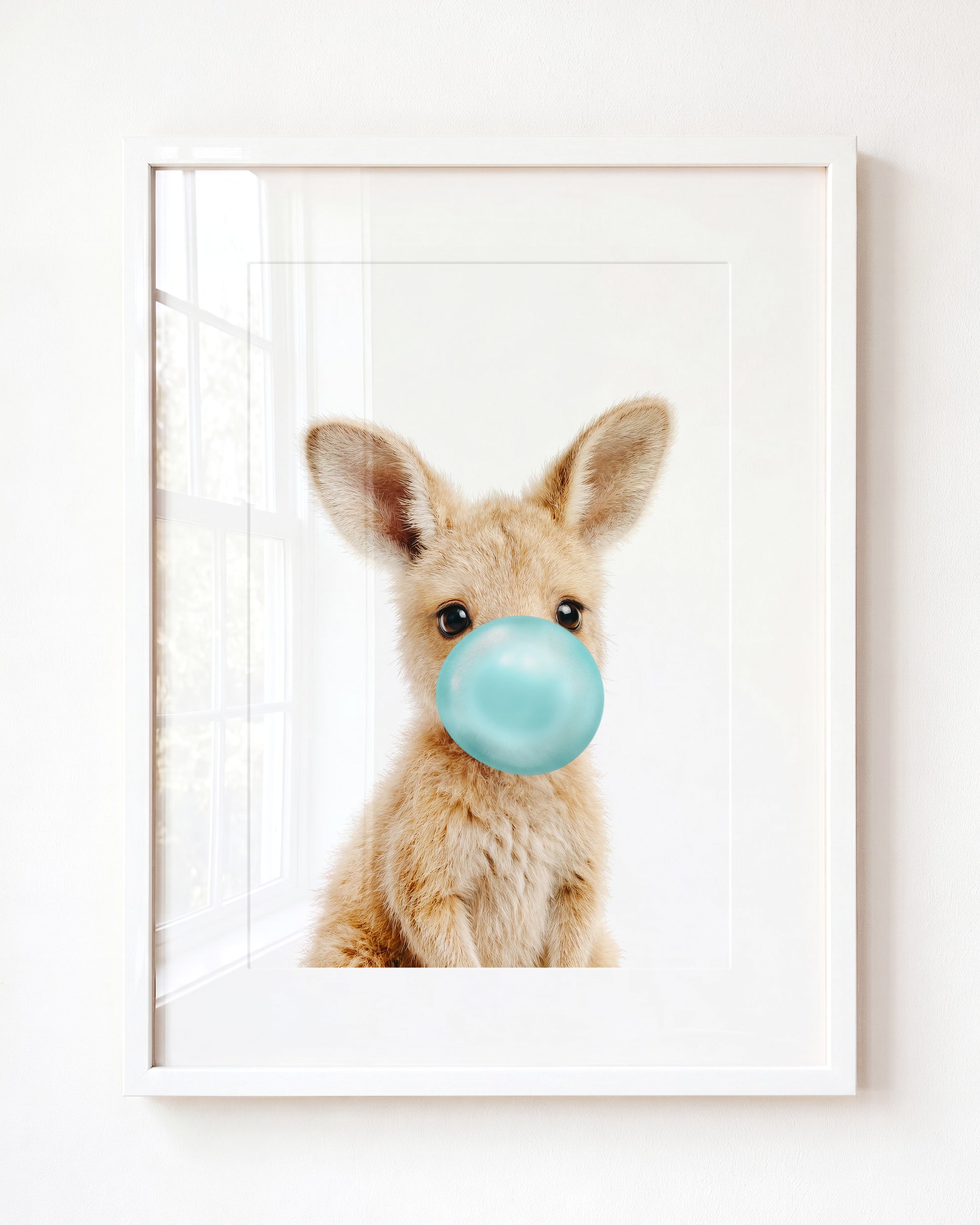 Baby Kangaroo