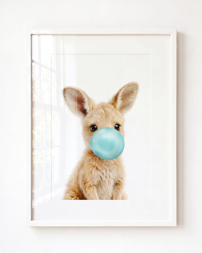 Baby Kangaroo