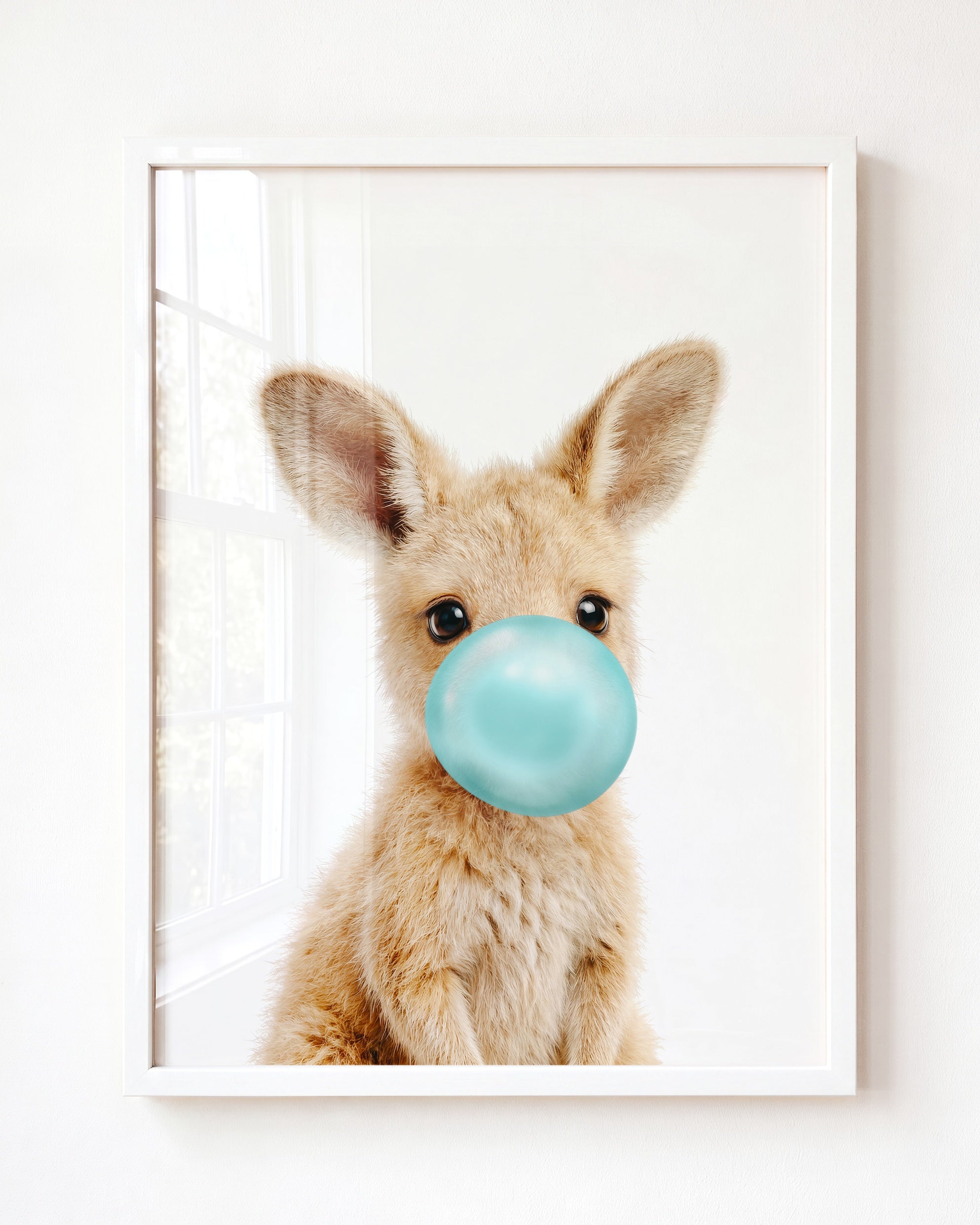 Baby Kangaroo