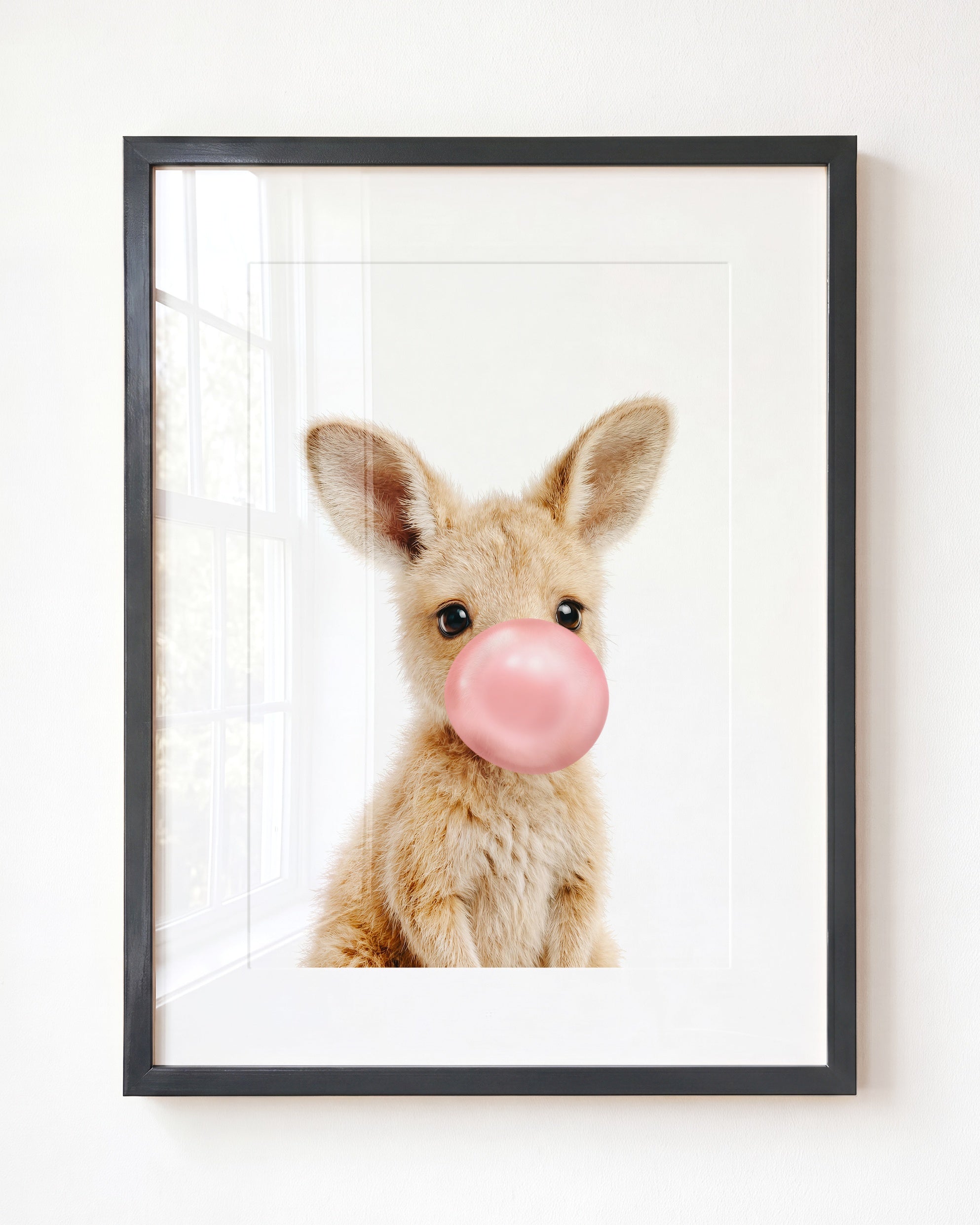 Baby Kangaroo