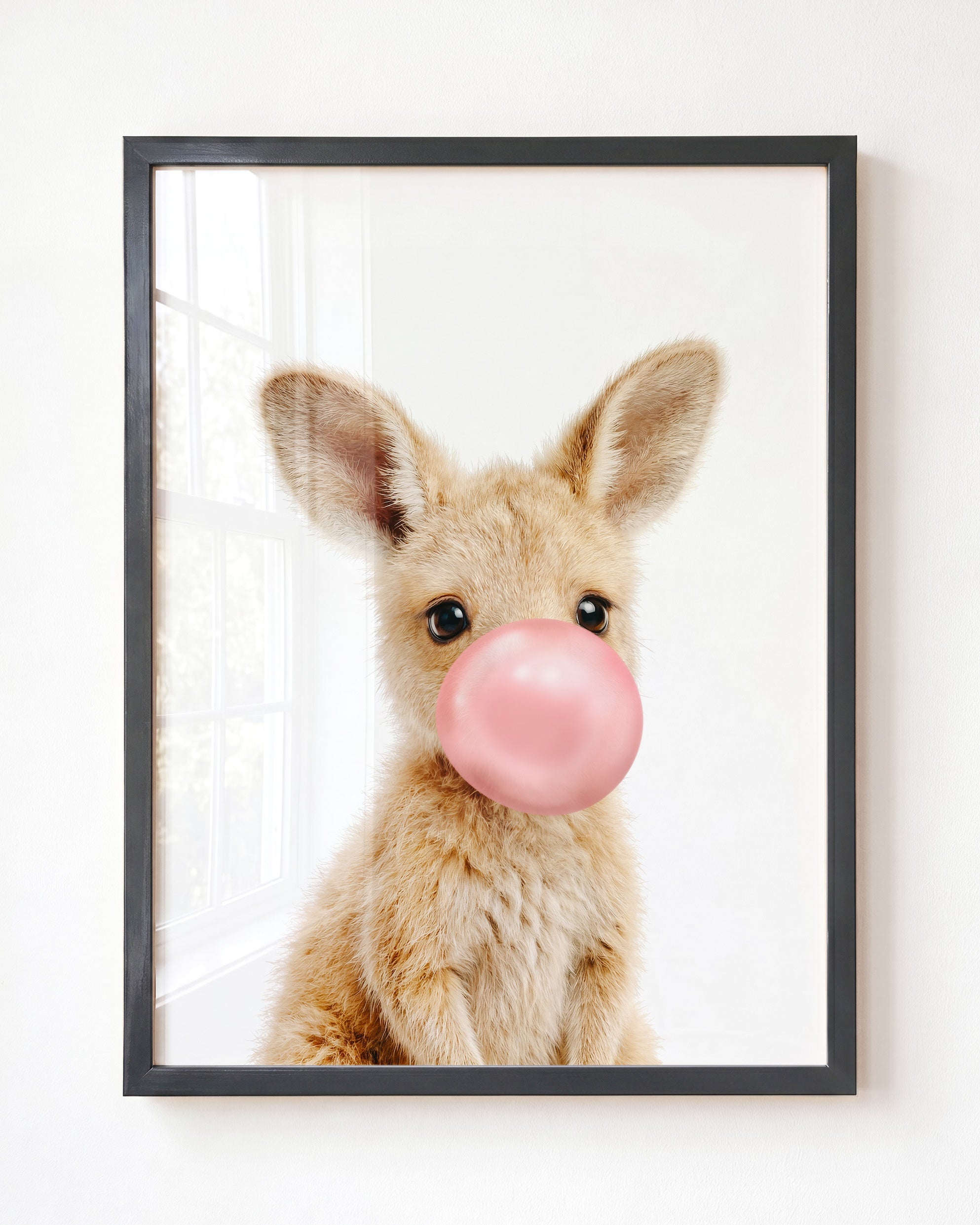 Baby Kangaroo