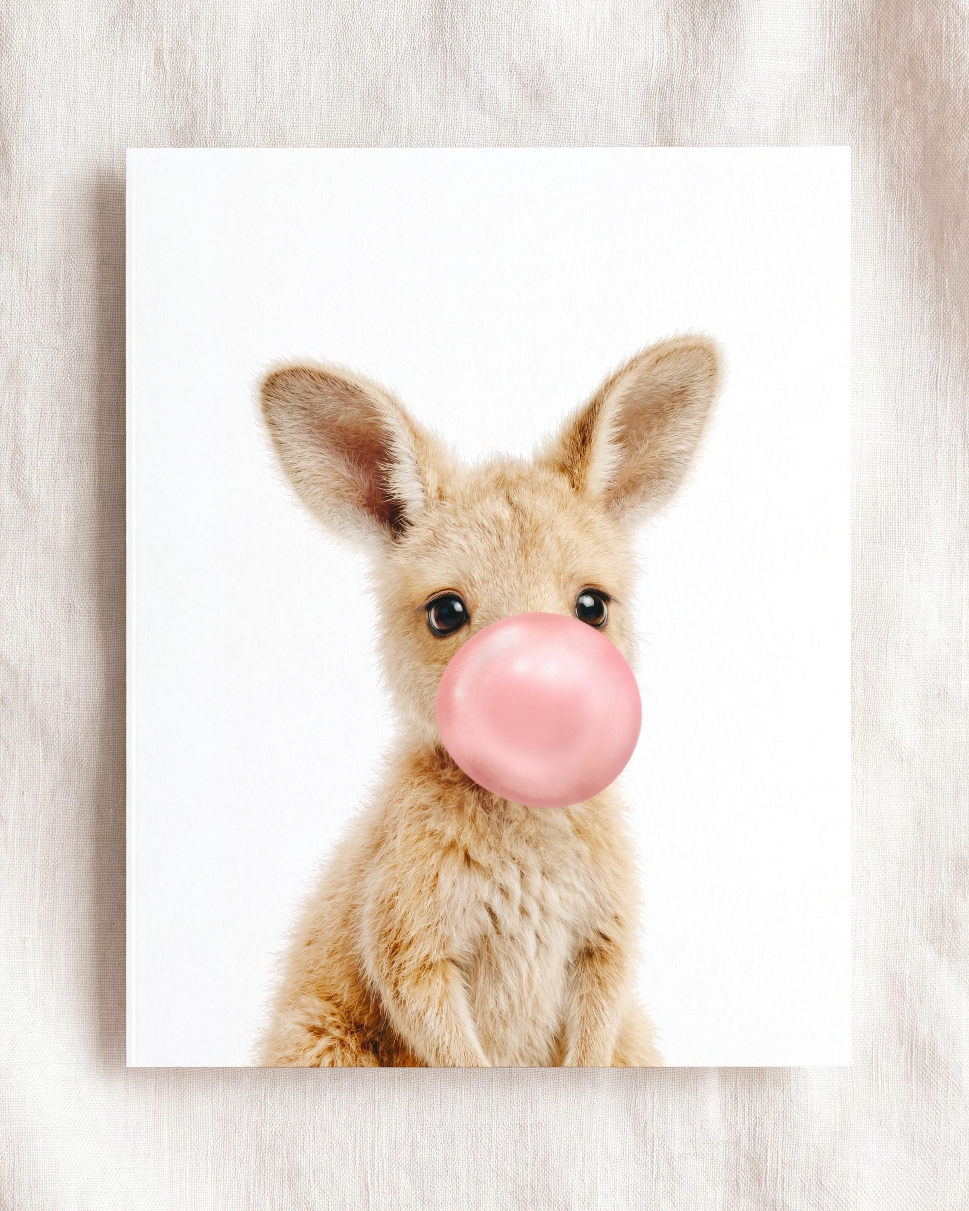 Baby Kangaroo