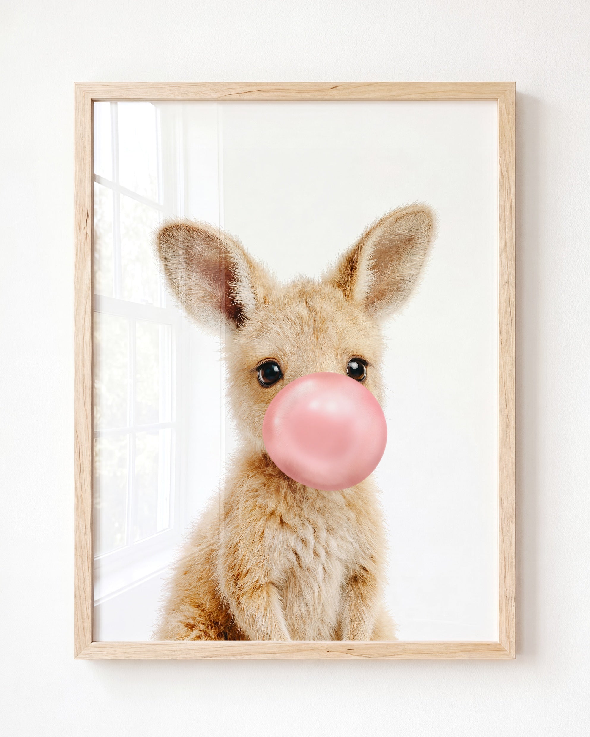 Baby Kangaroo