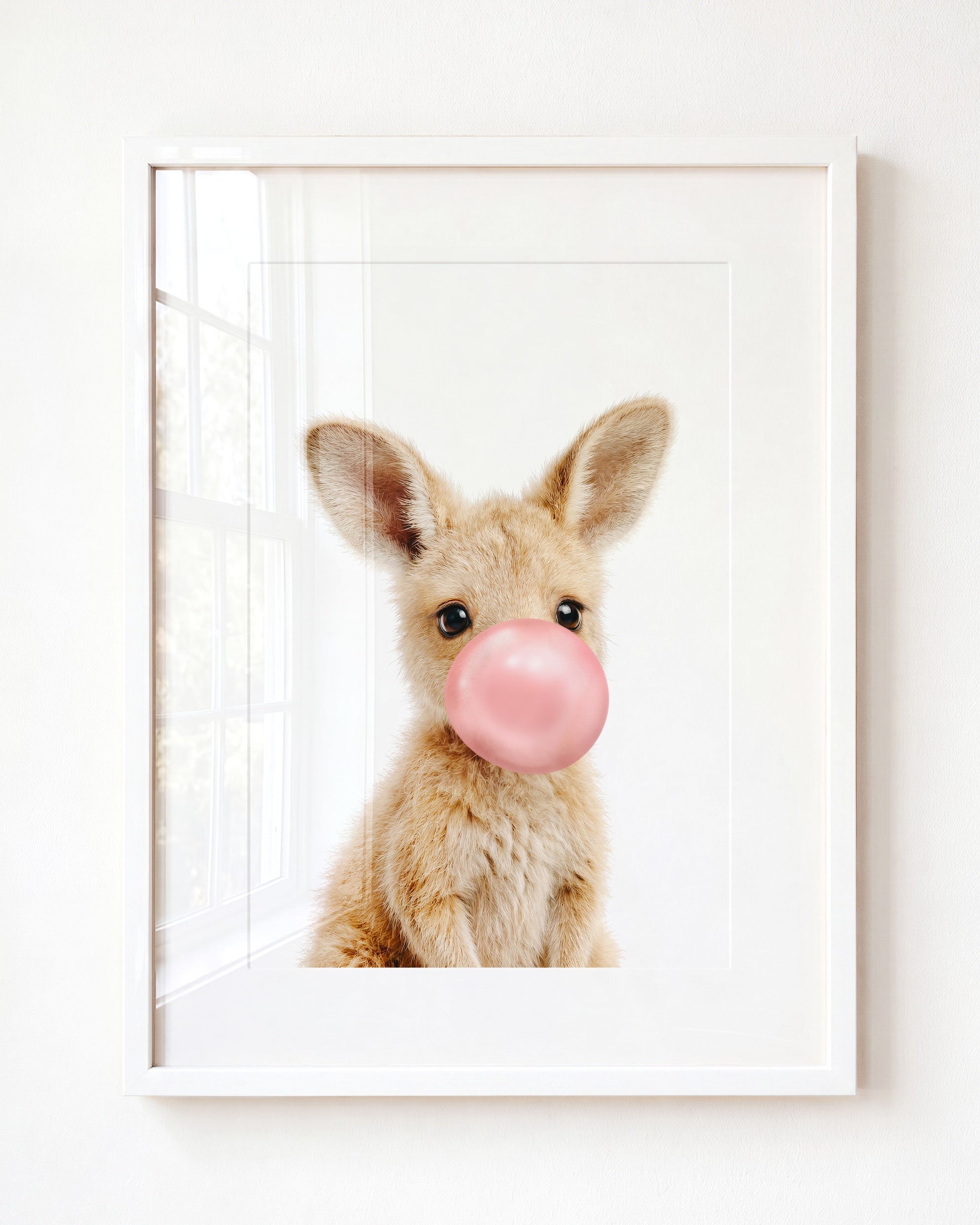 Baby Kangaroo