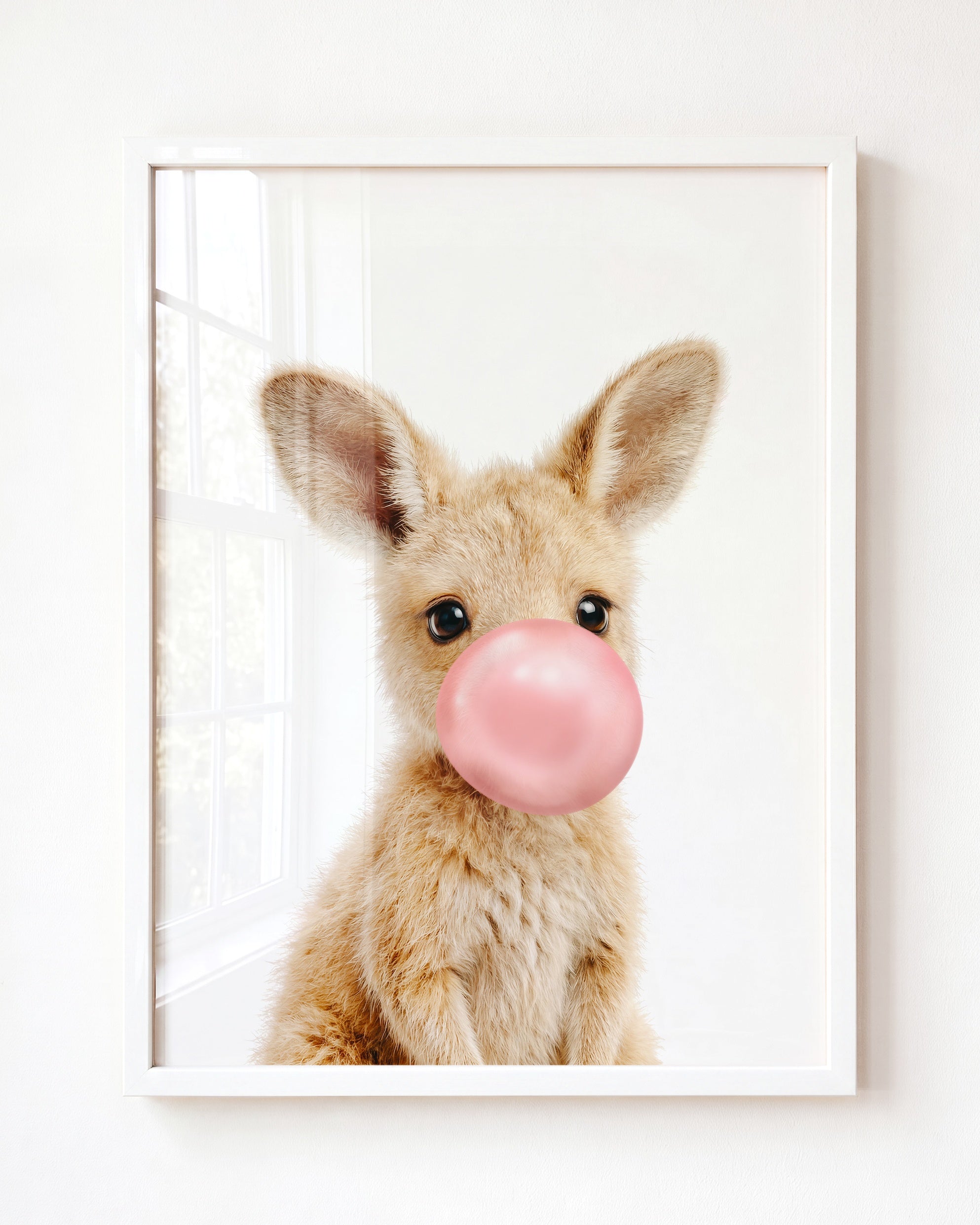 Baby Kangaroo