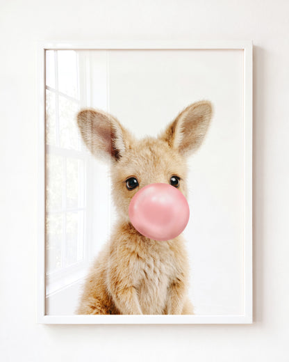 Baby Kangaroo