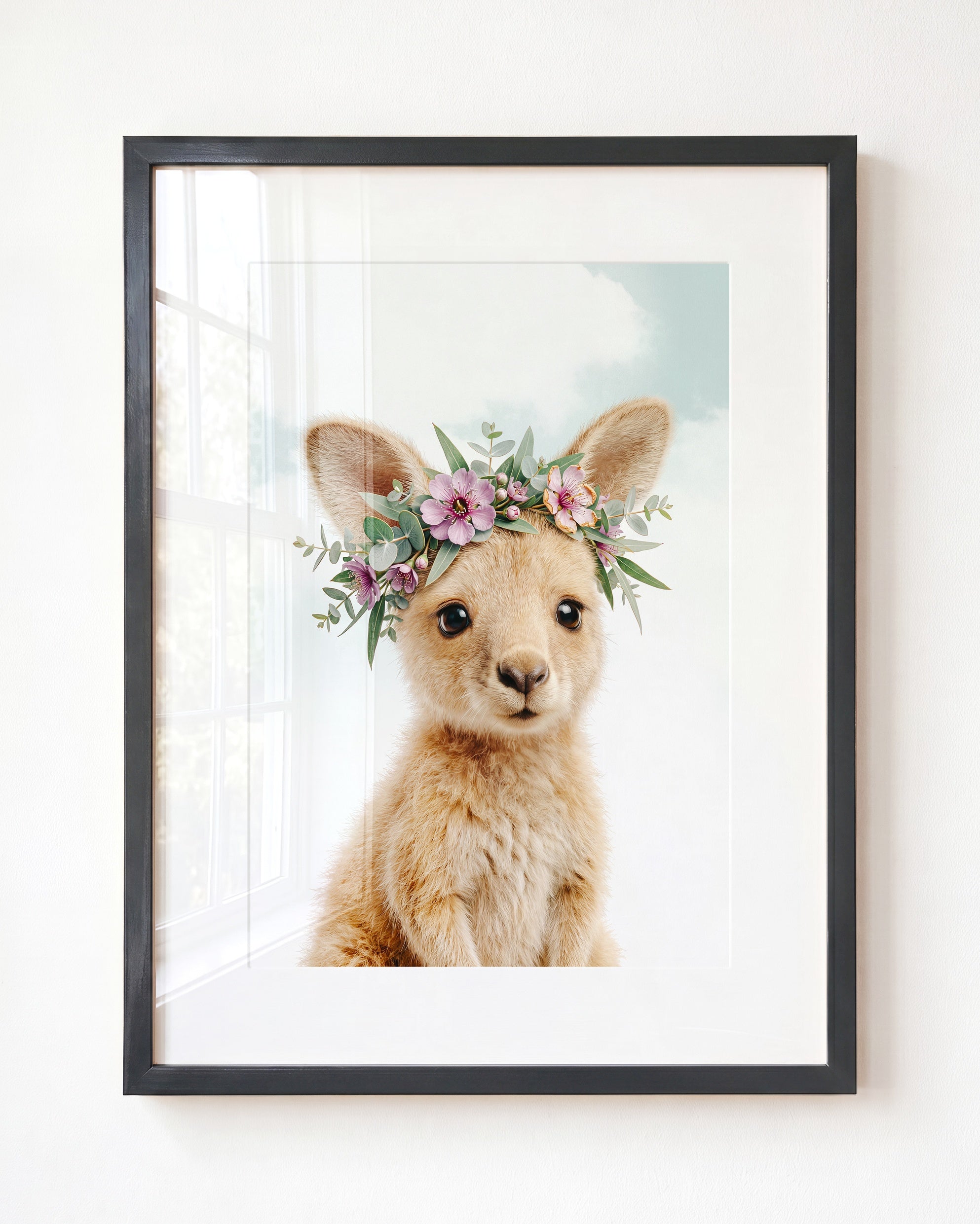 Baby Kangaroo