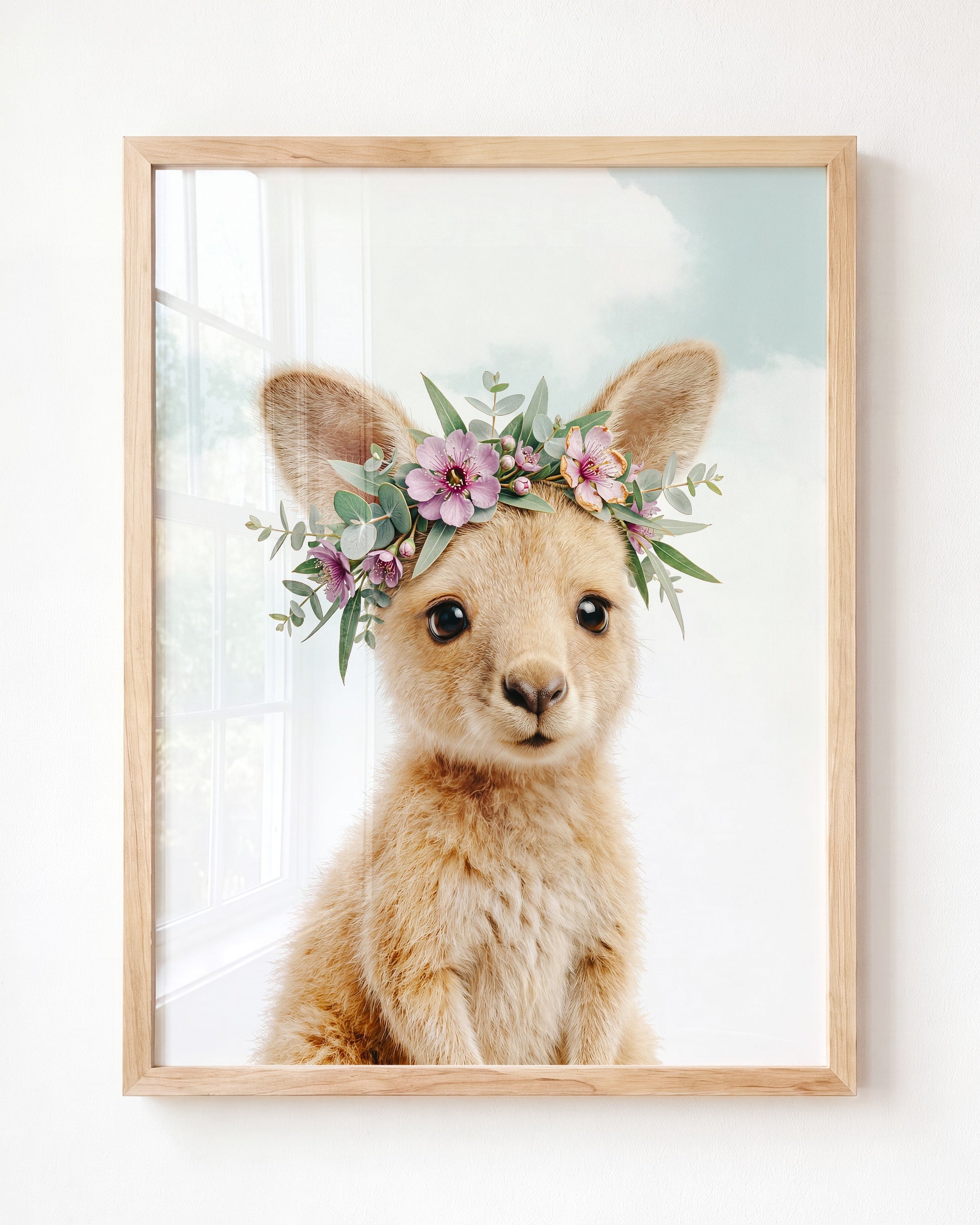 Baby Kangaroo