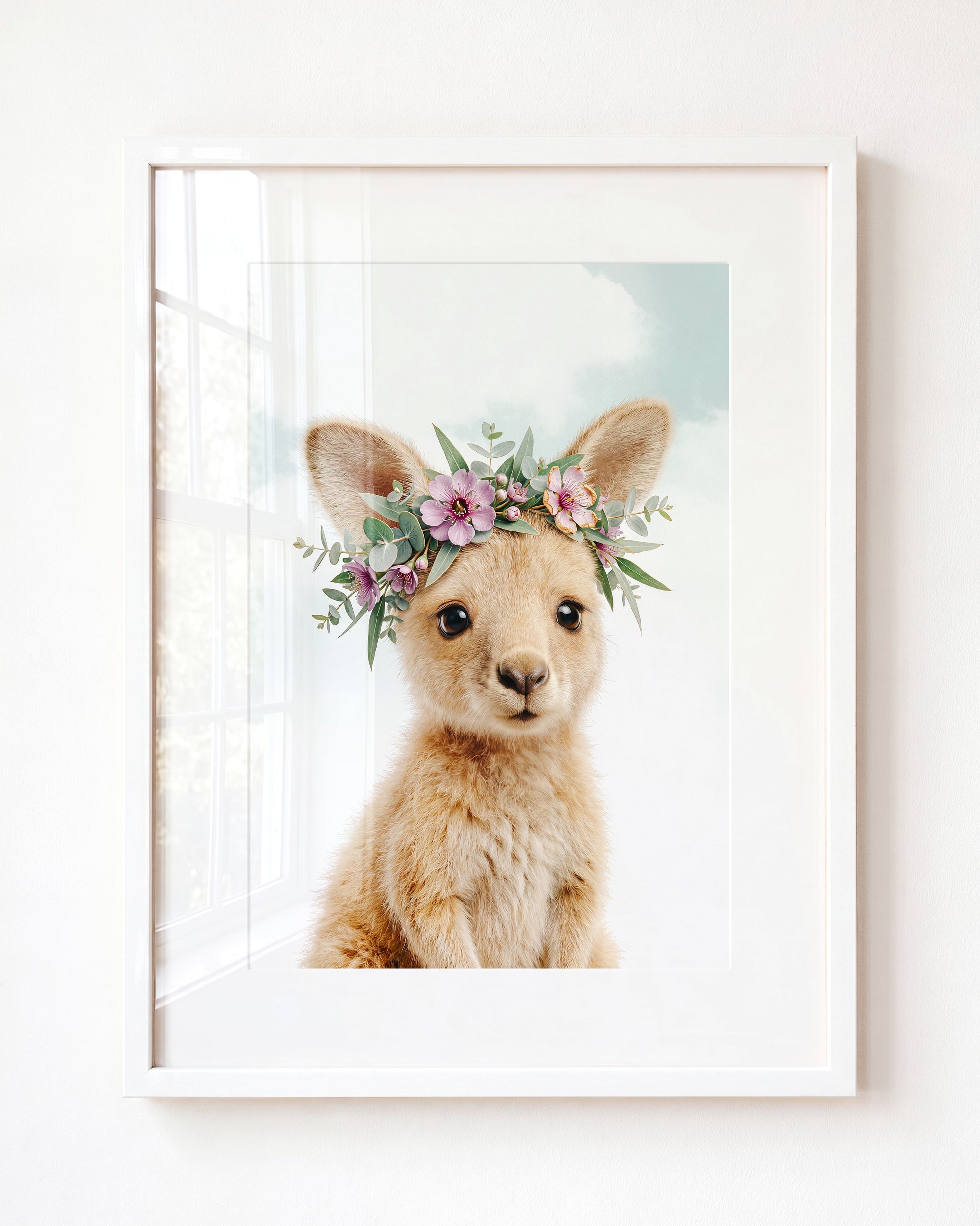 Baby Kangaroo