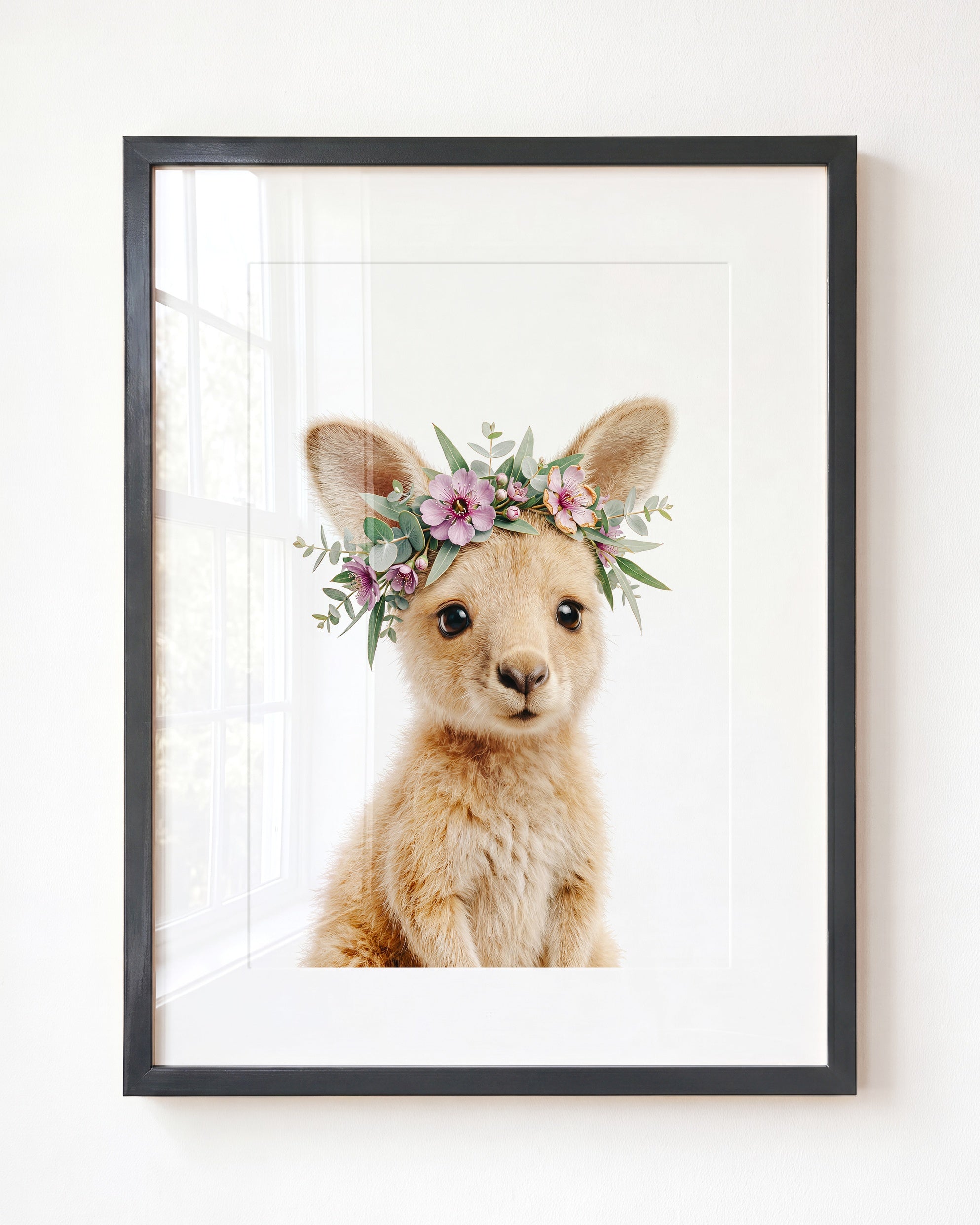 Baby Kangaroo