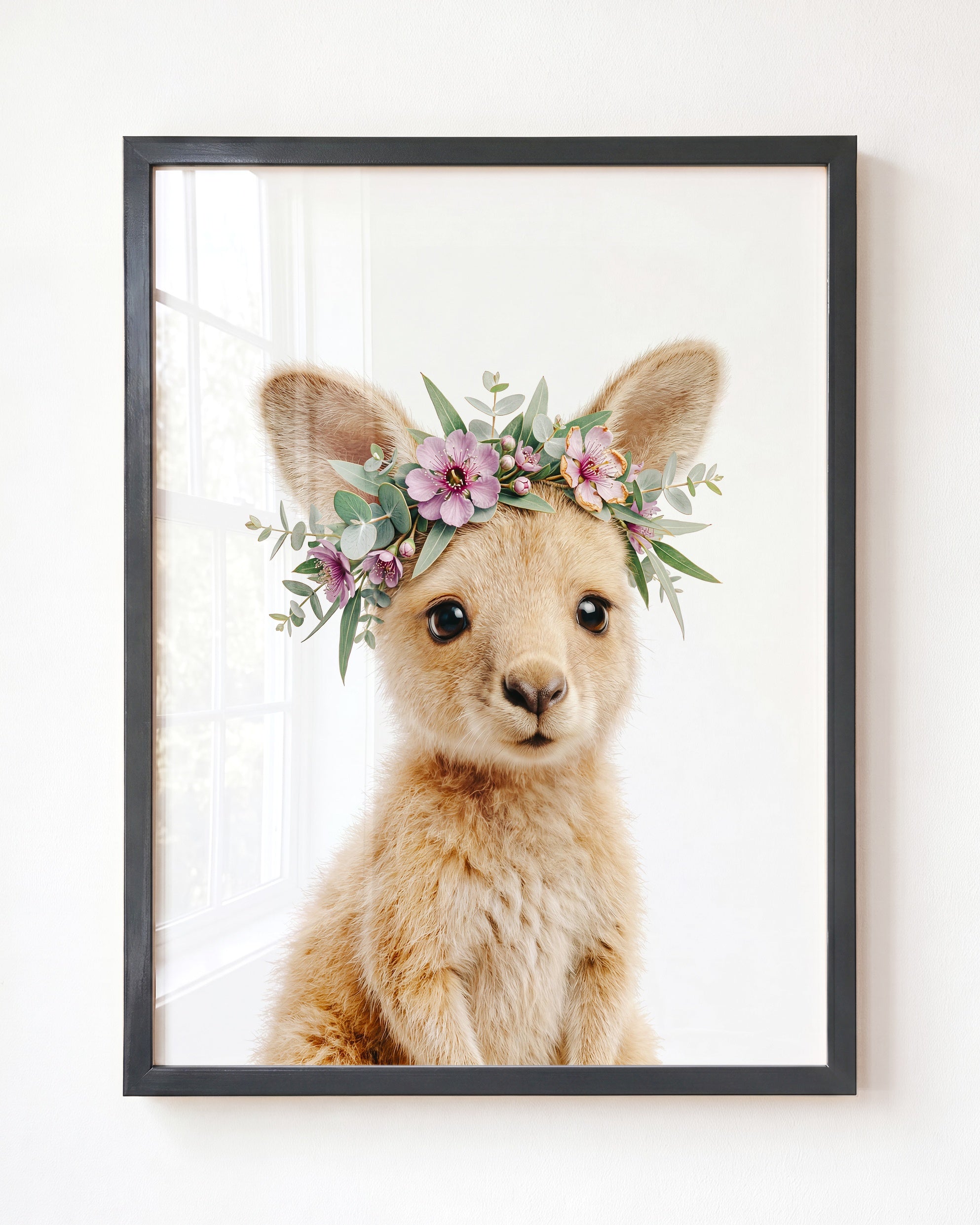 Baby Kangaroo
