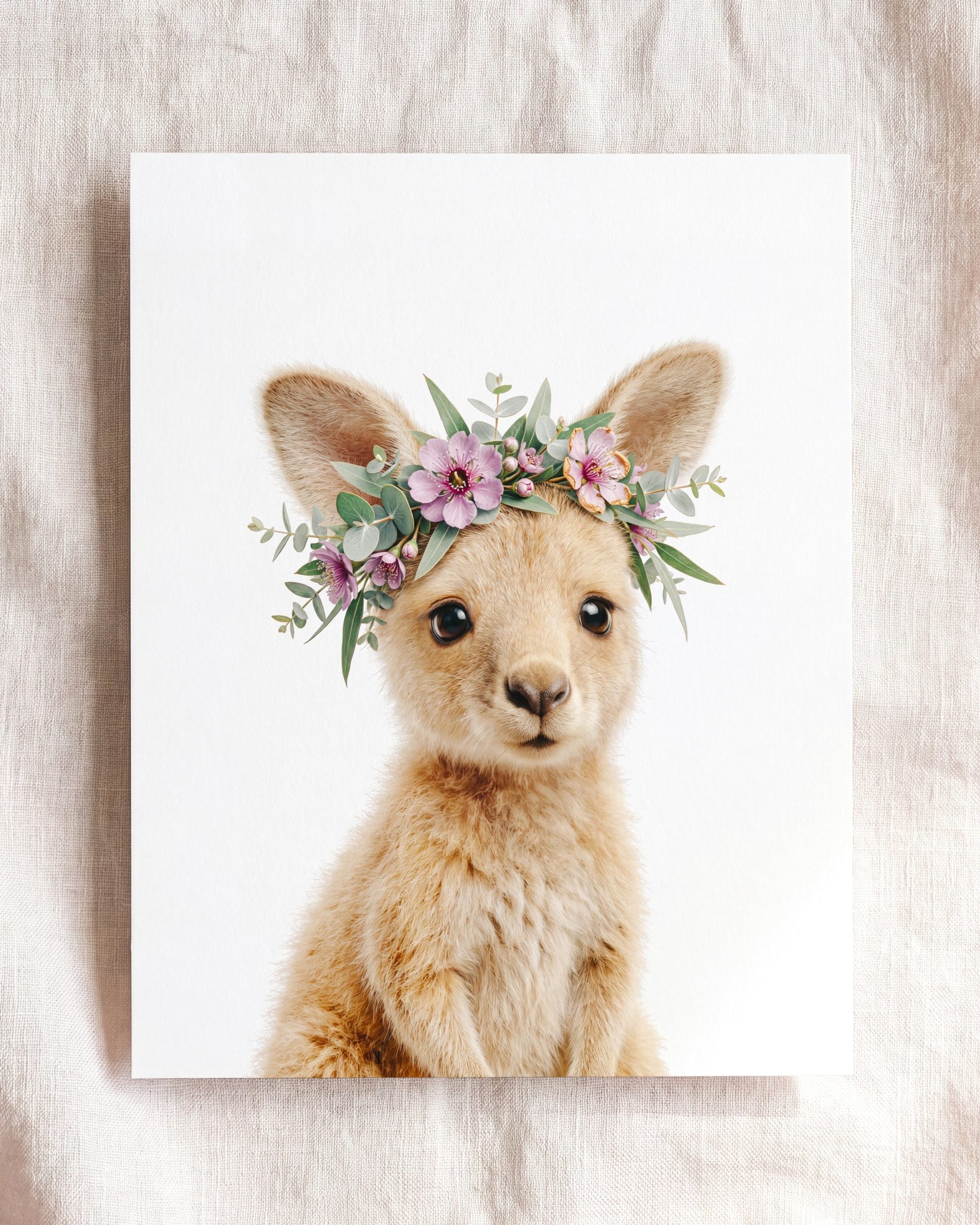 Baby Kangaroo