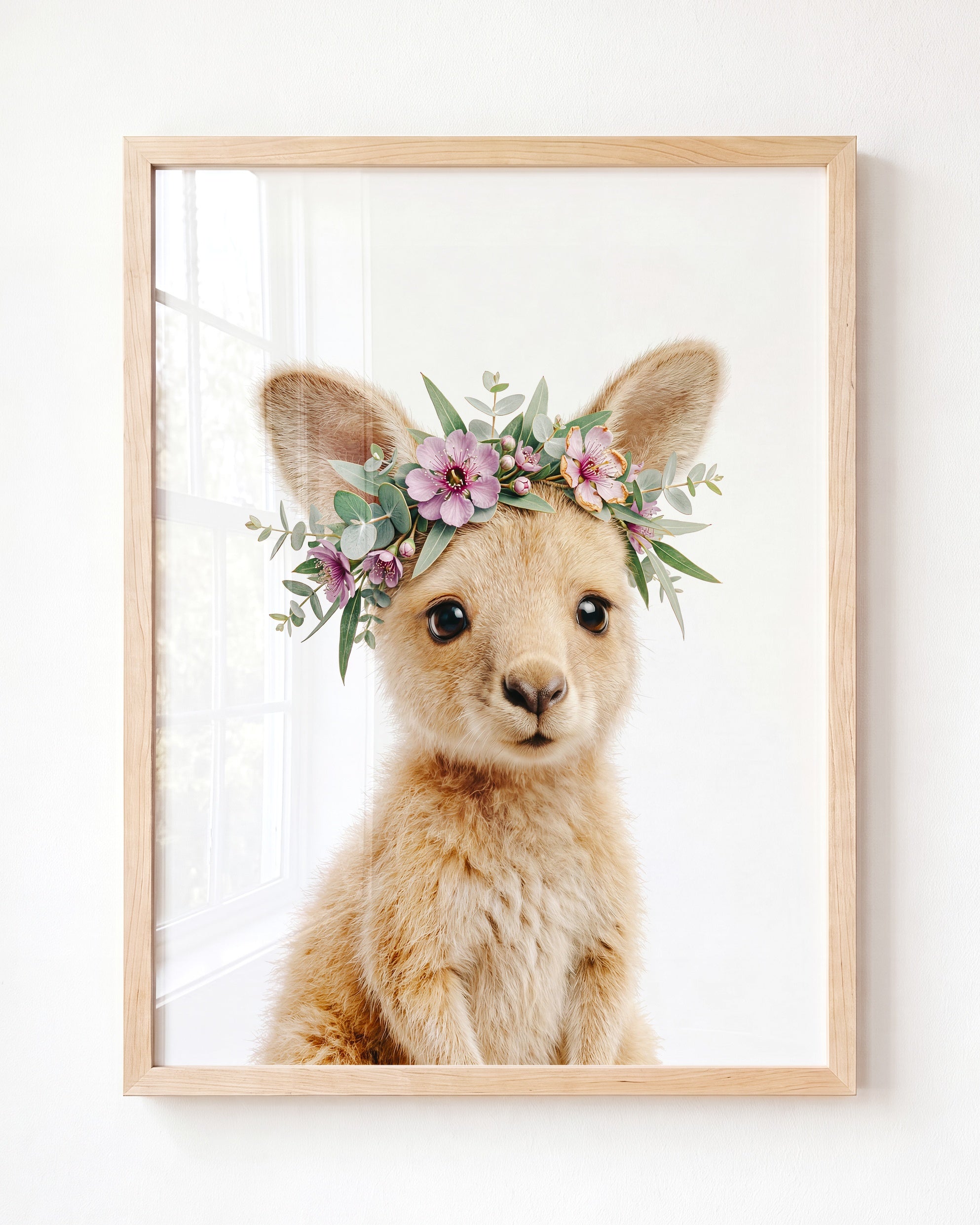 Baby Kangaroo