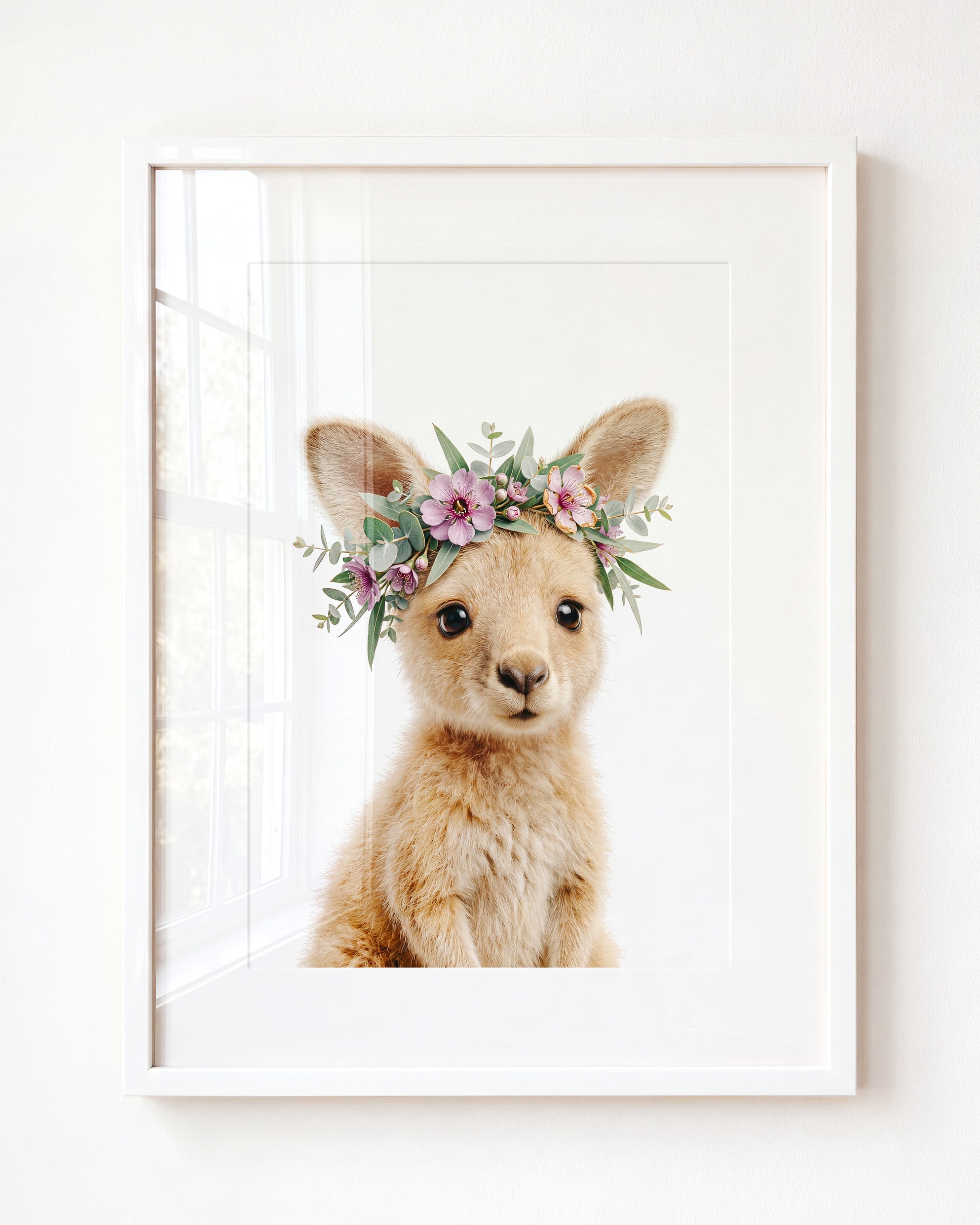 Baby Kangaroo