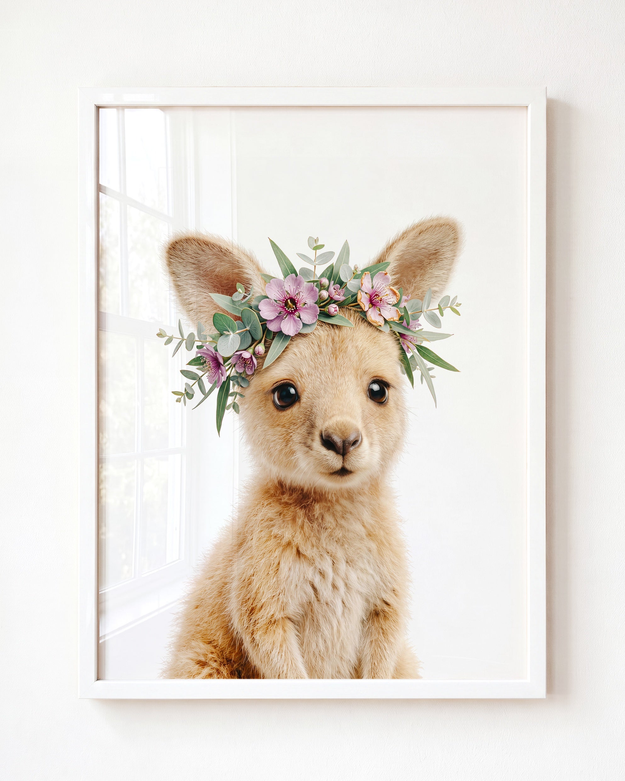 Baby Kangaroo