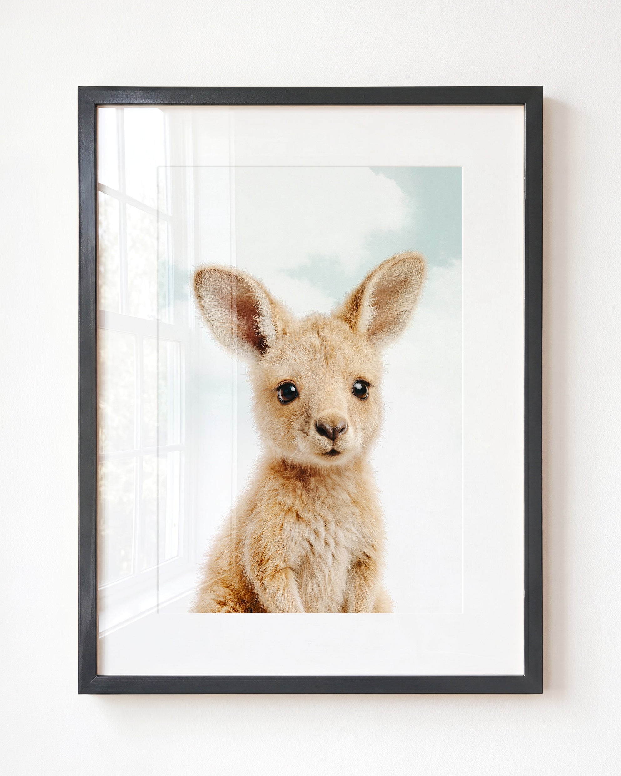 Baby Kangaroo