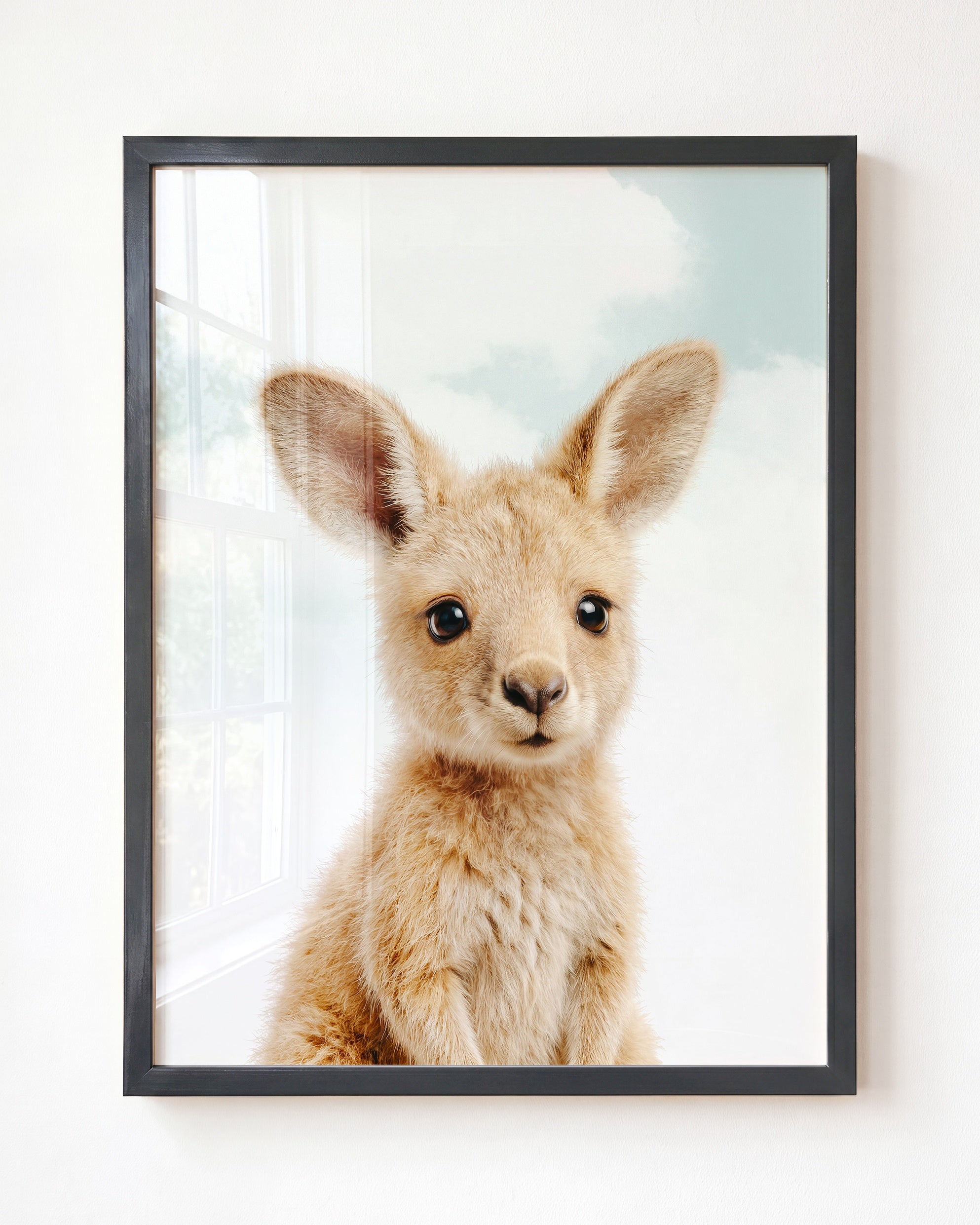 Baby Kangaroo