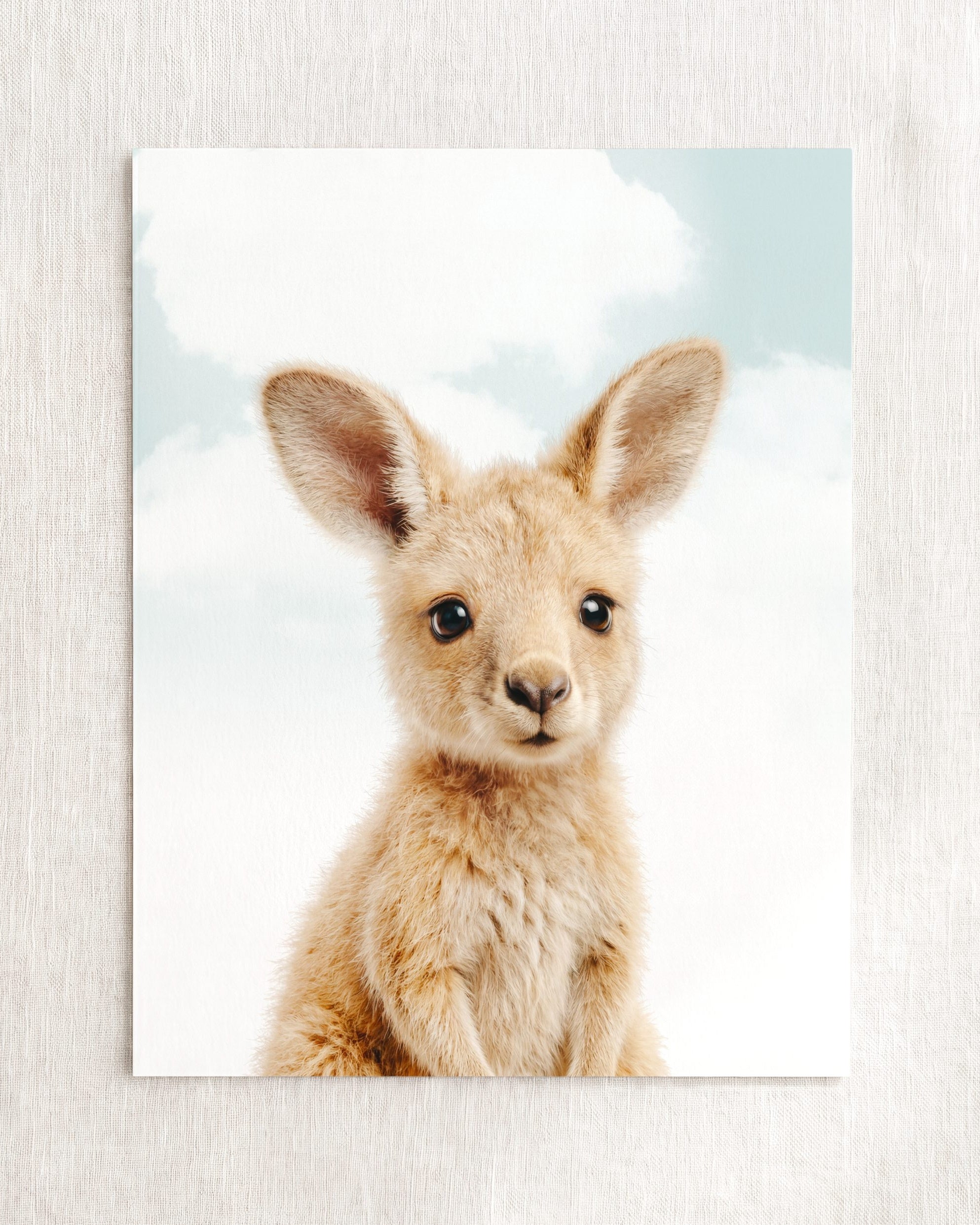 Baby Kangaroo