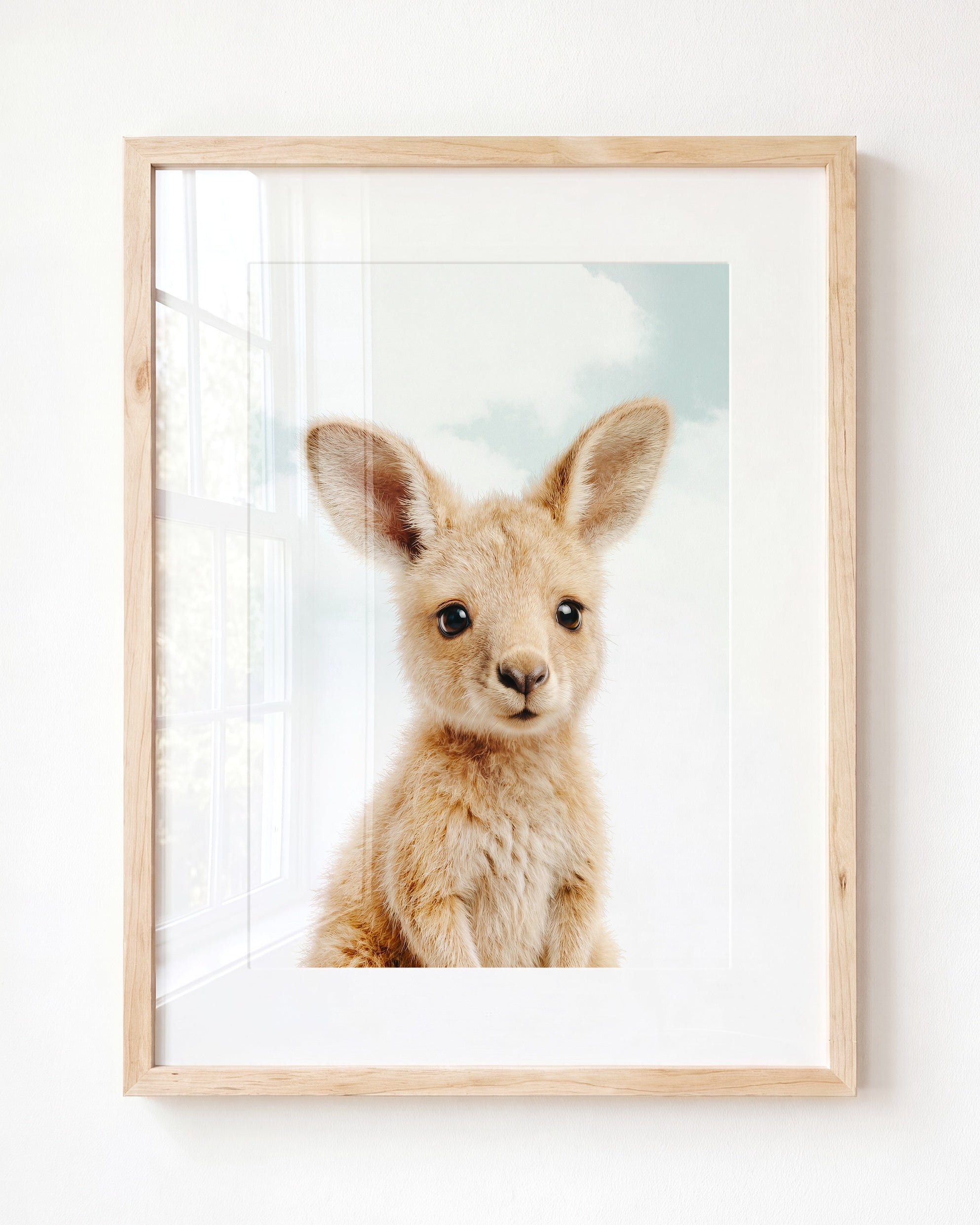 Baby Kangaroo