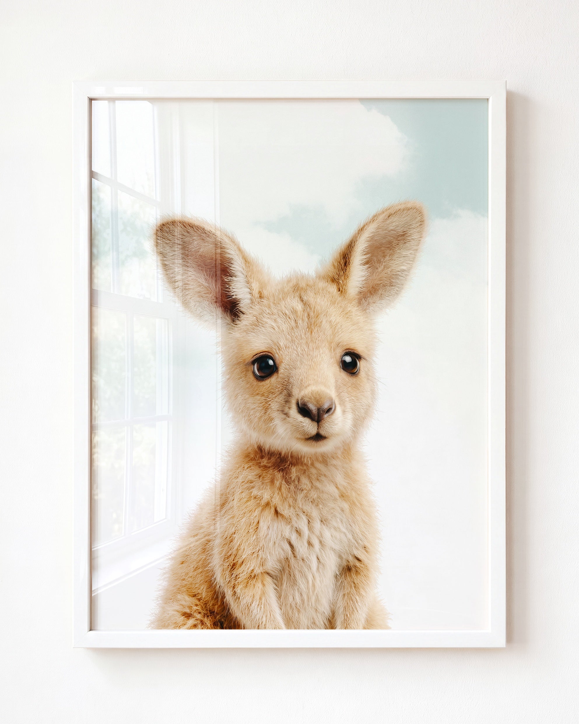 Baby Kangaroo
