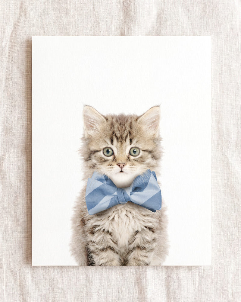 Bow Tie Cornflower