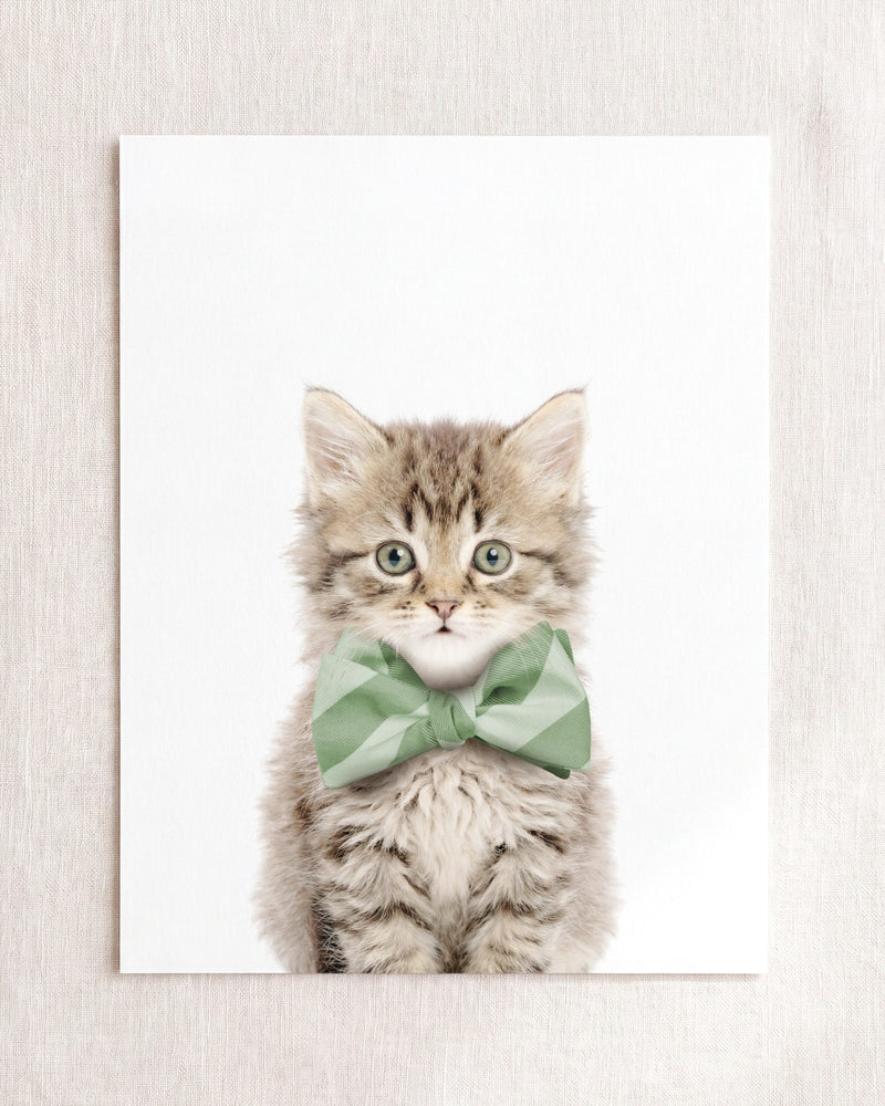 Bow Tie