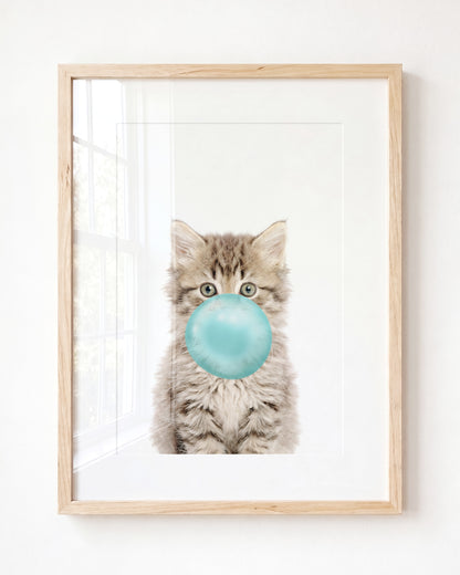 Baby Kitten