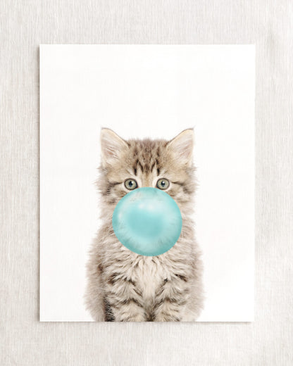 Baby Kitten