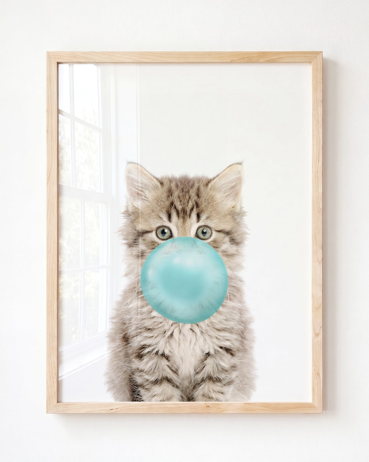 Baby Kitten