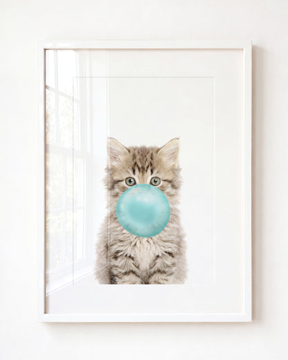 Baby Kitten