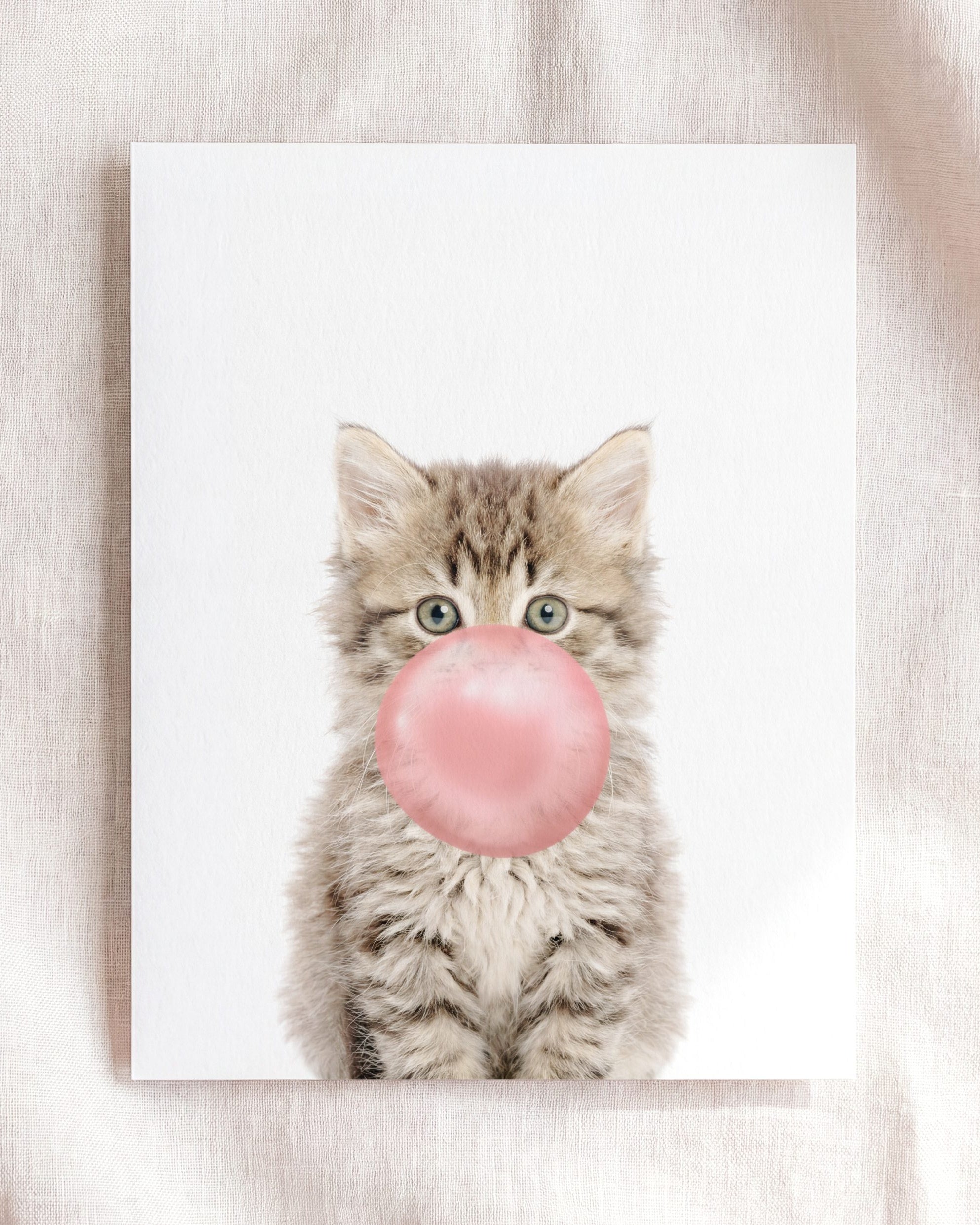 Baby Kitten