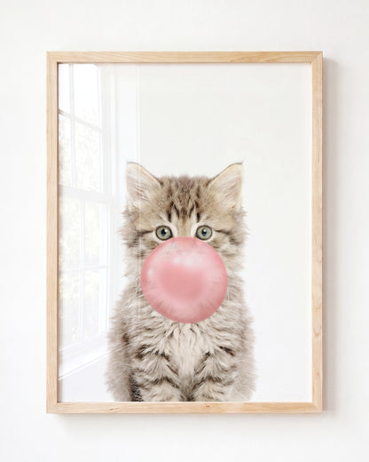 Baby Kitten