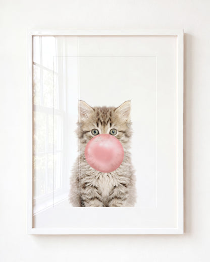 Baby Kitten