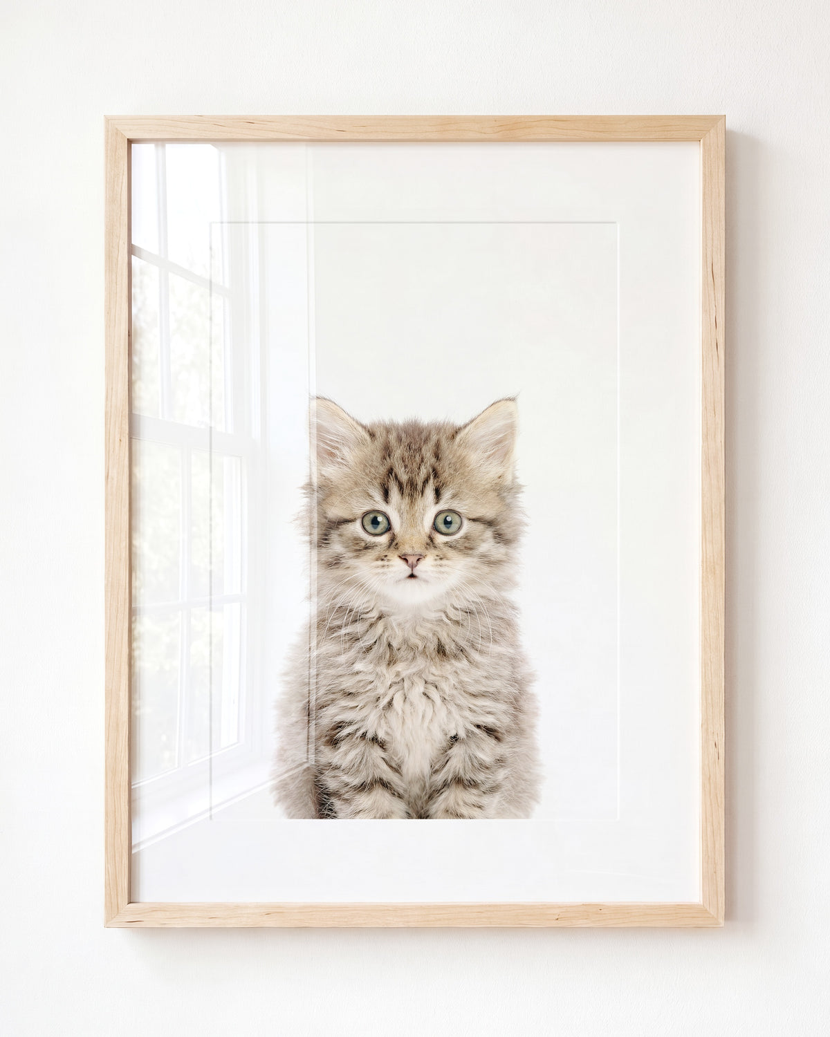 Baby Kitten — Framed Art