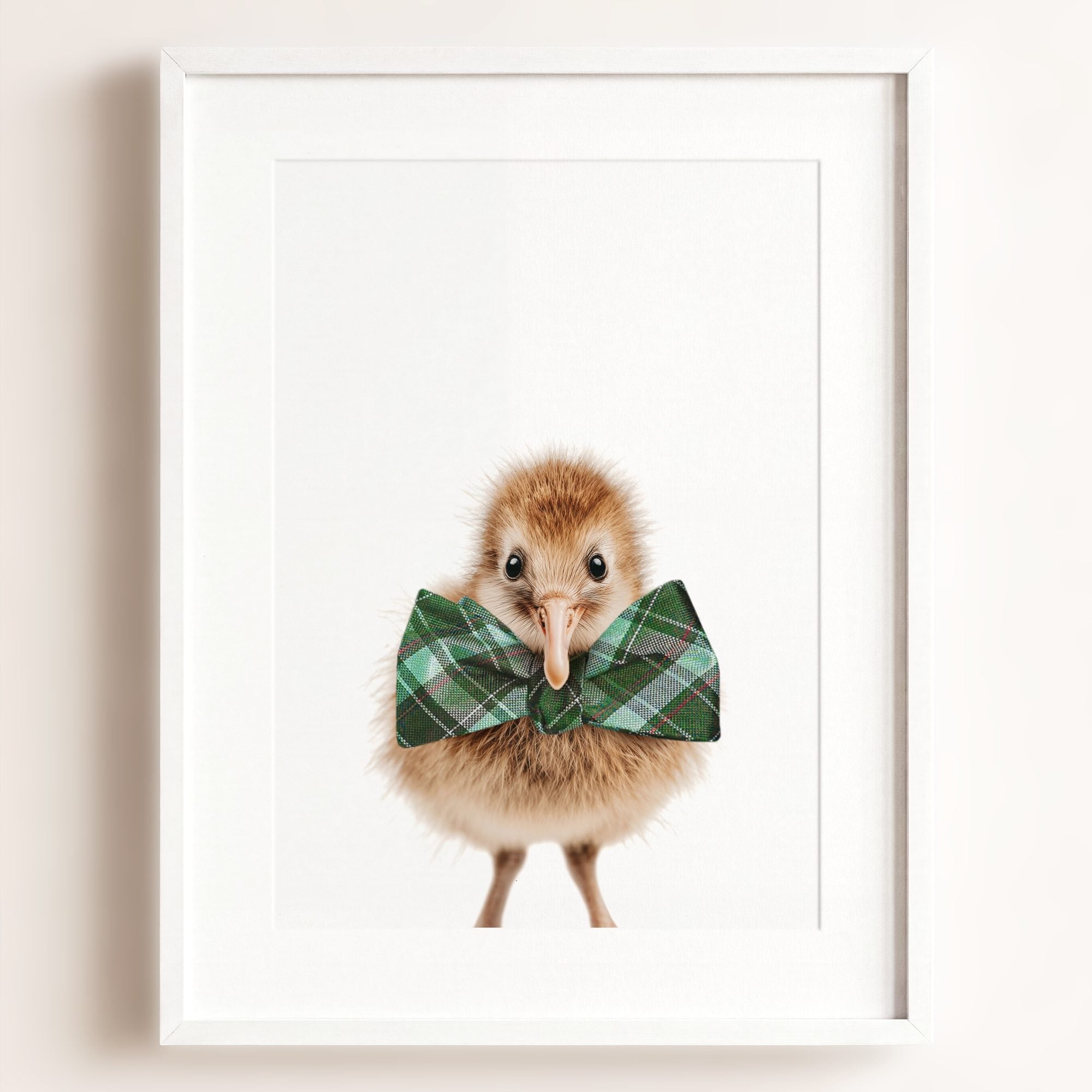 Baby Kiwi Bird