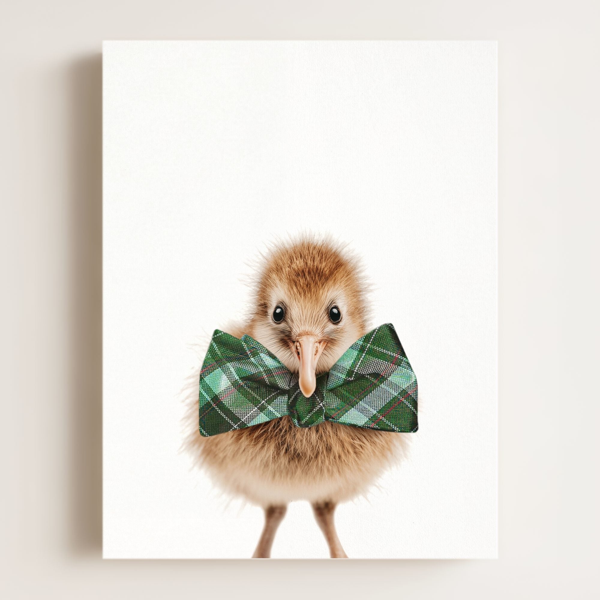 Baby Kiwi Bird