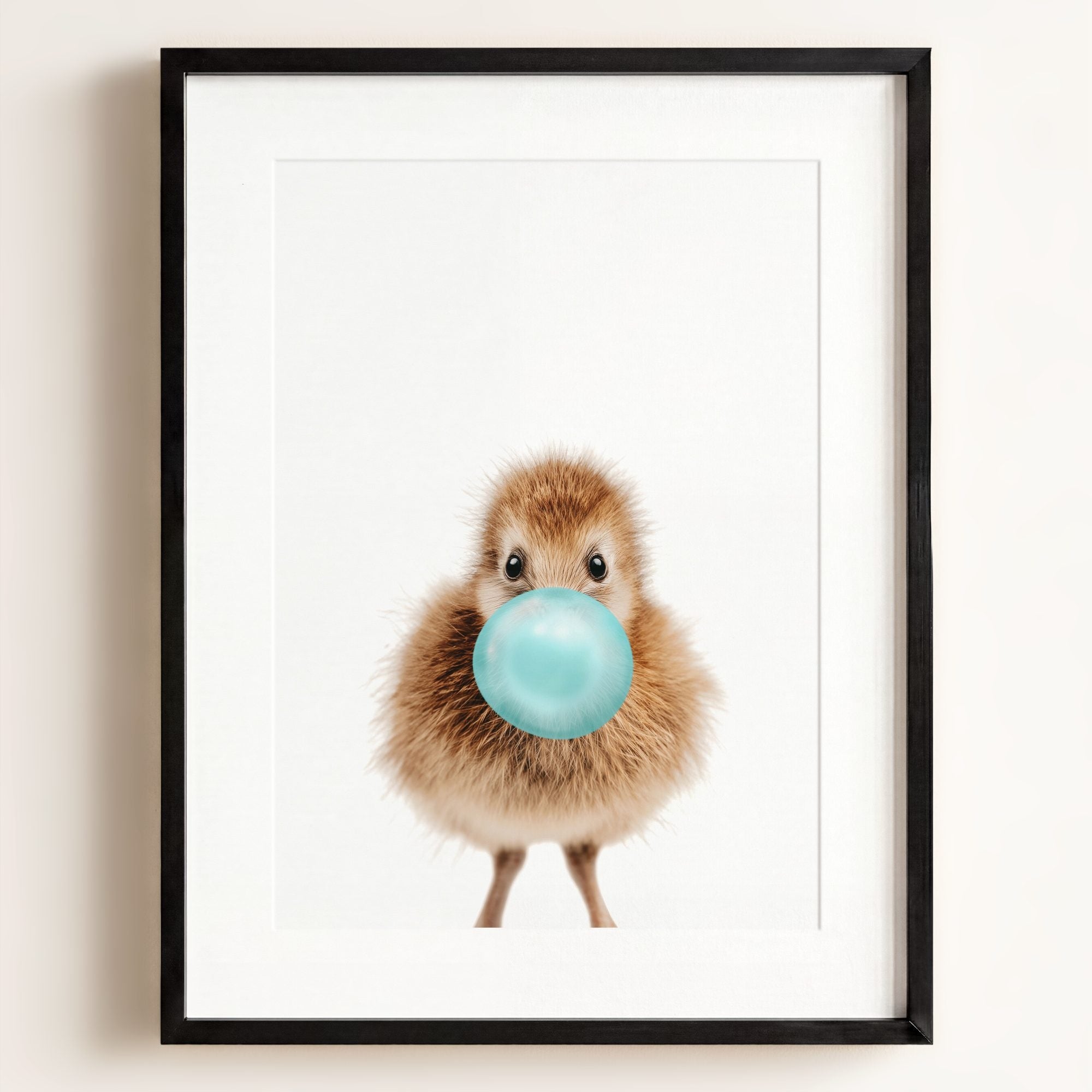 Baby Kiwi Bird