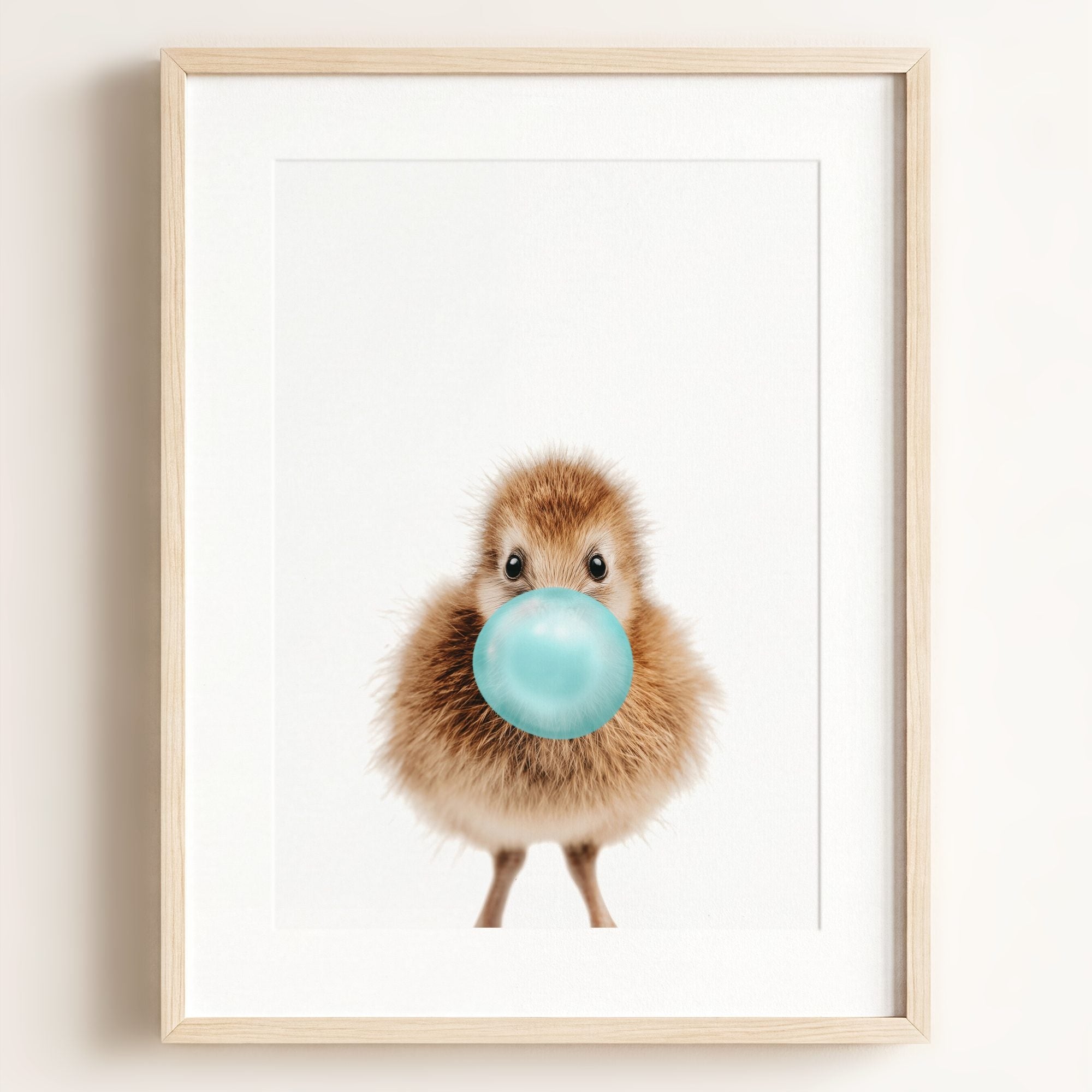 Baby Kiwi Bird