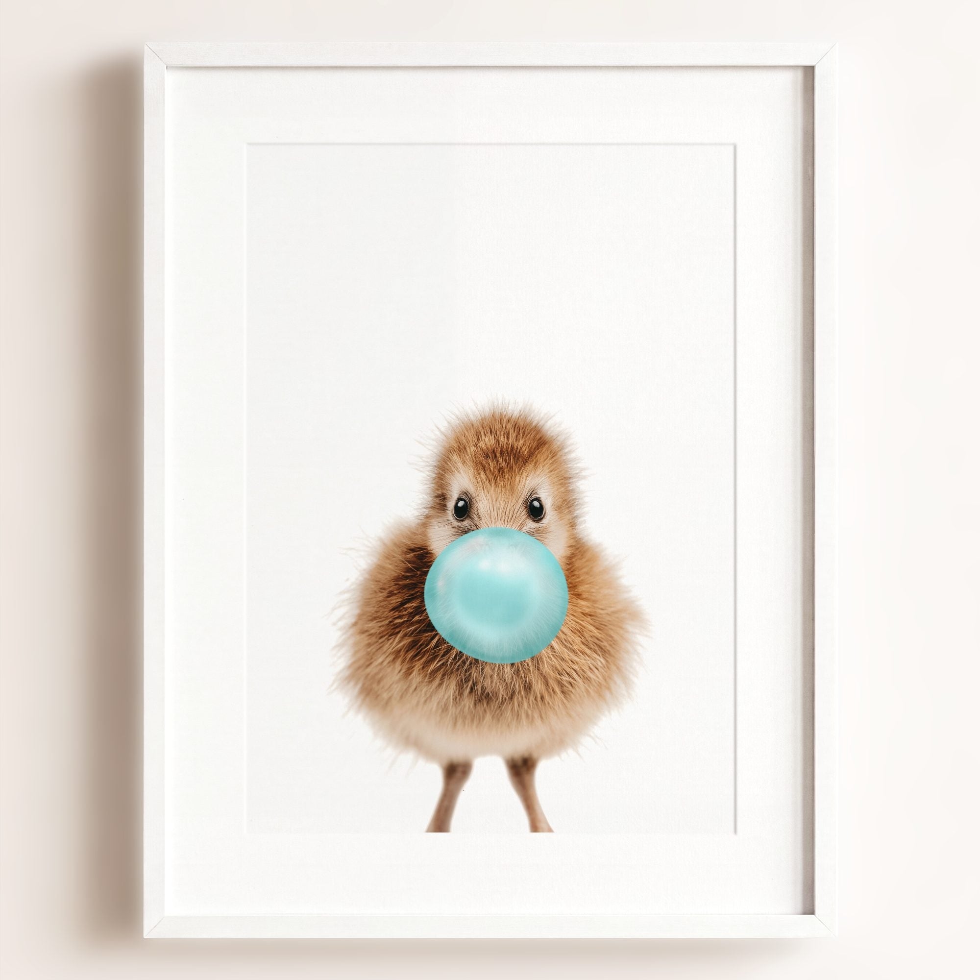 Baby Kiwi Bird
