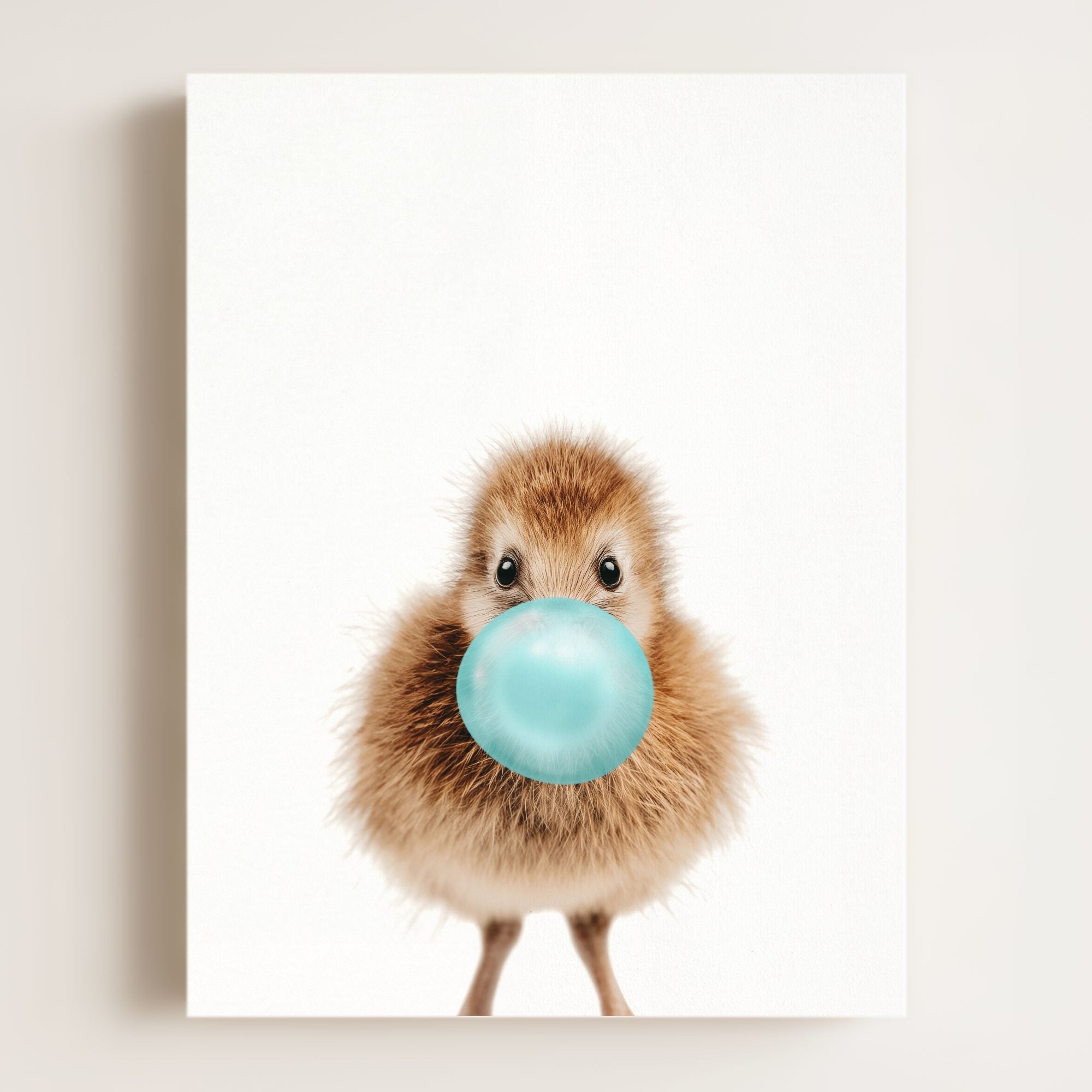 Baby Kiwi Bird
