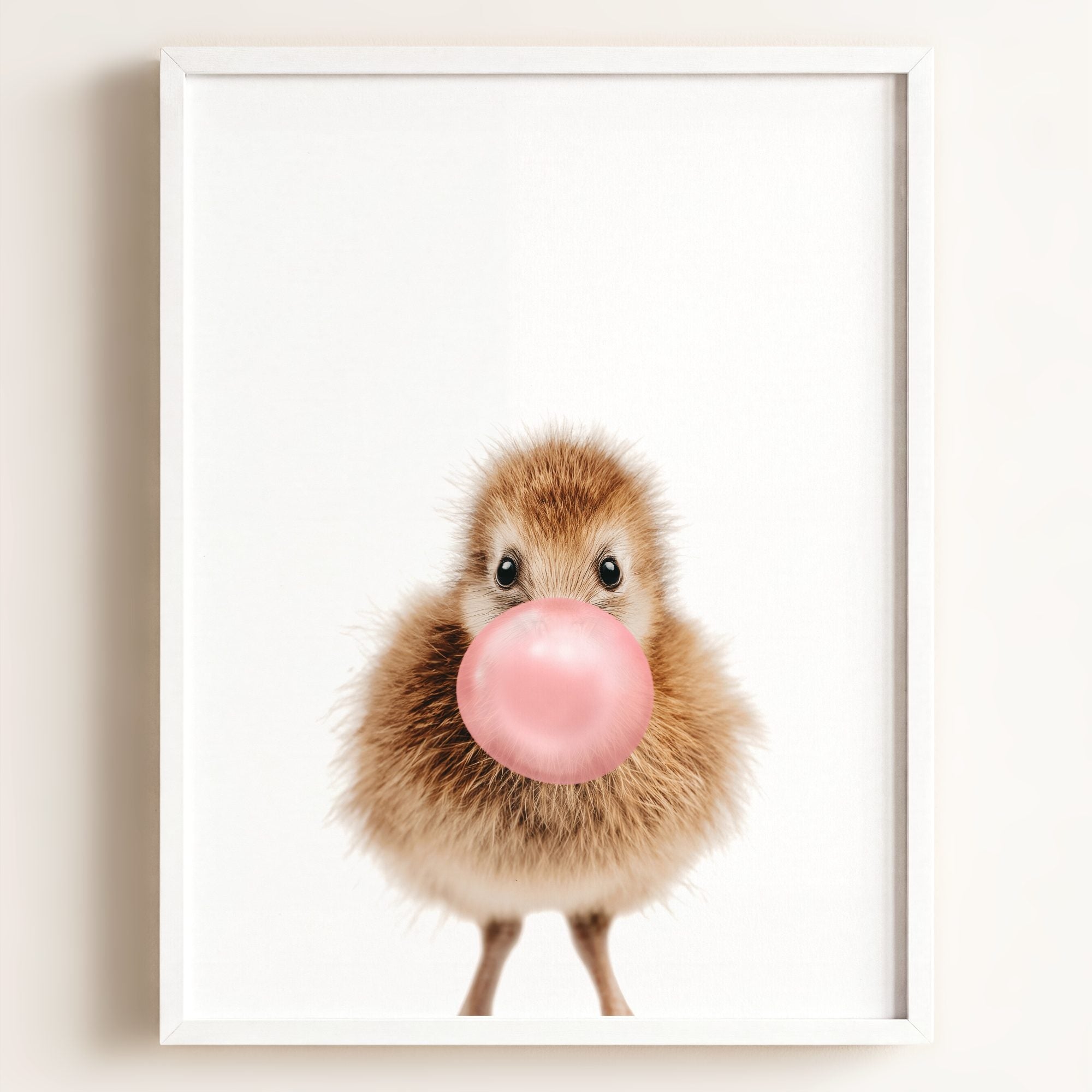 Baby Kiwi Bird